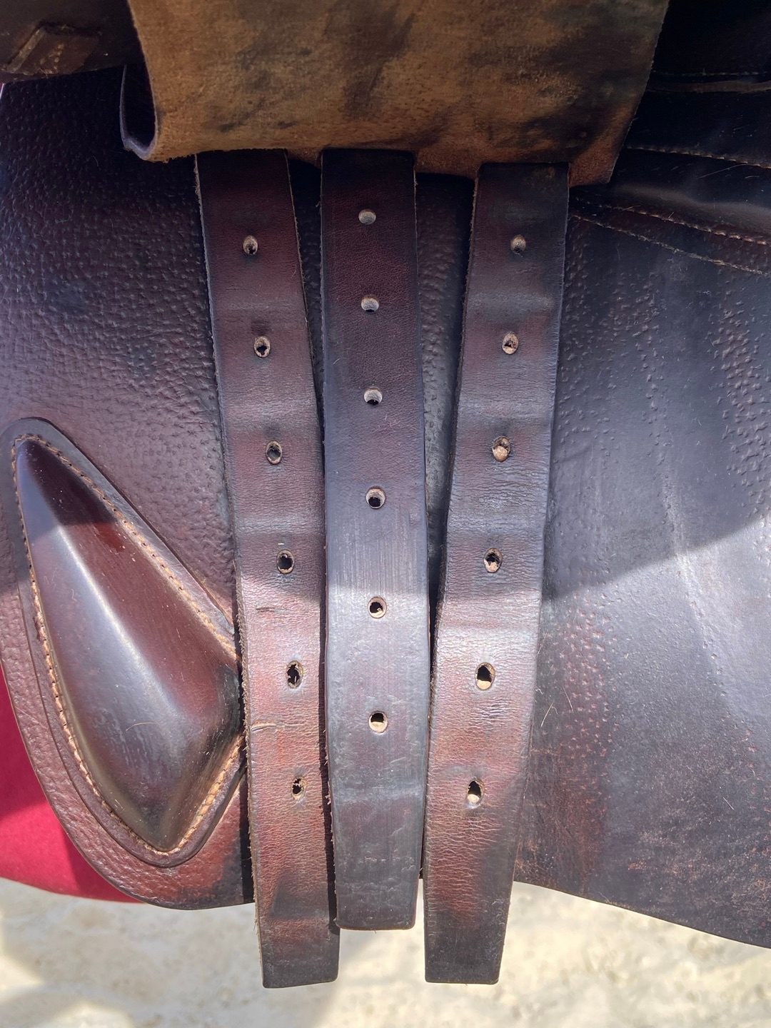Selle cwd 17,5, média 9