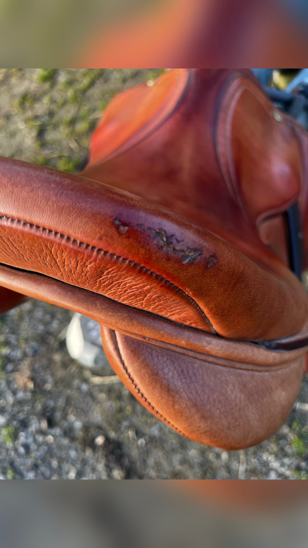 Selle, média 4