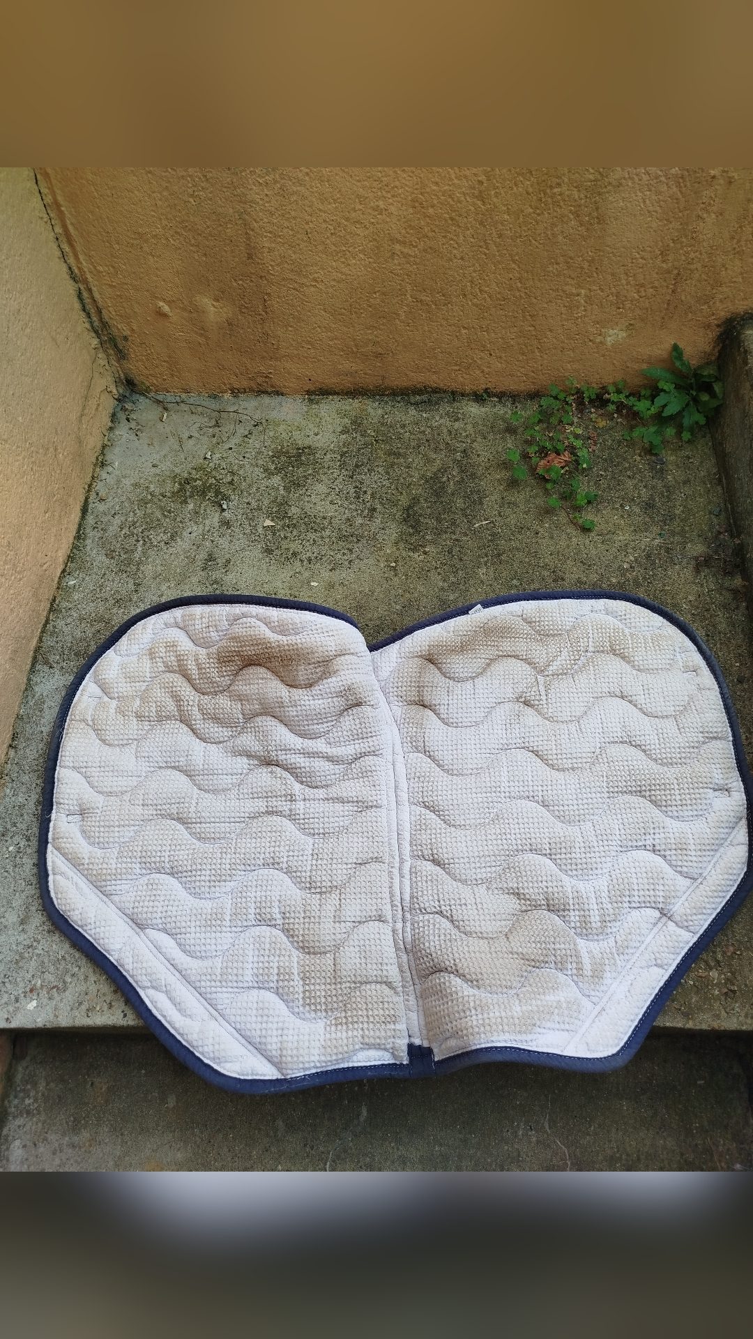 Tapis d'équitation, média 2