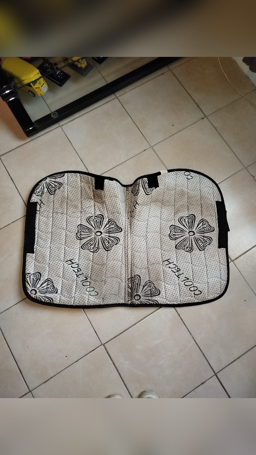 Tapis d'équitation, média 2