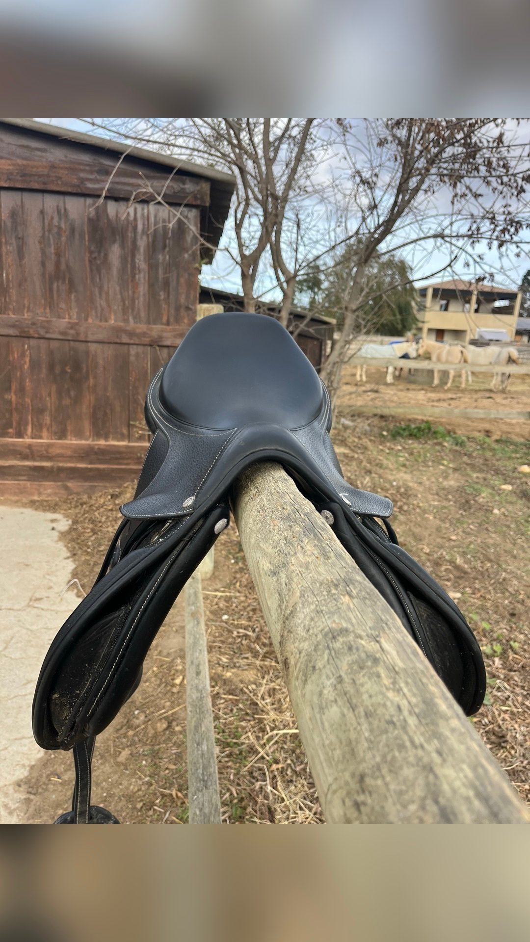 Selle mixte, média 2