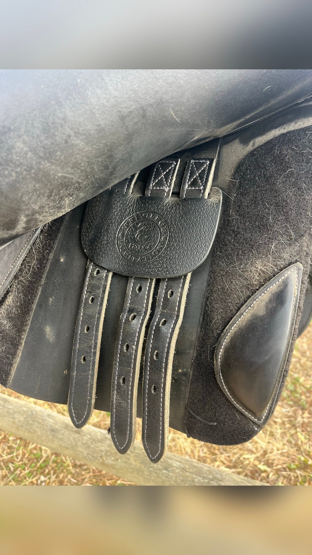 Selle mixte, média 3
