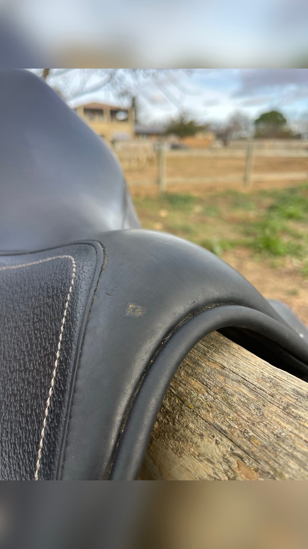 Selle mixte, média 4