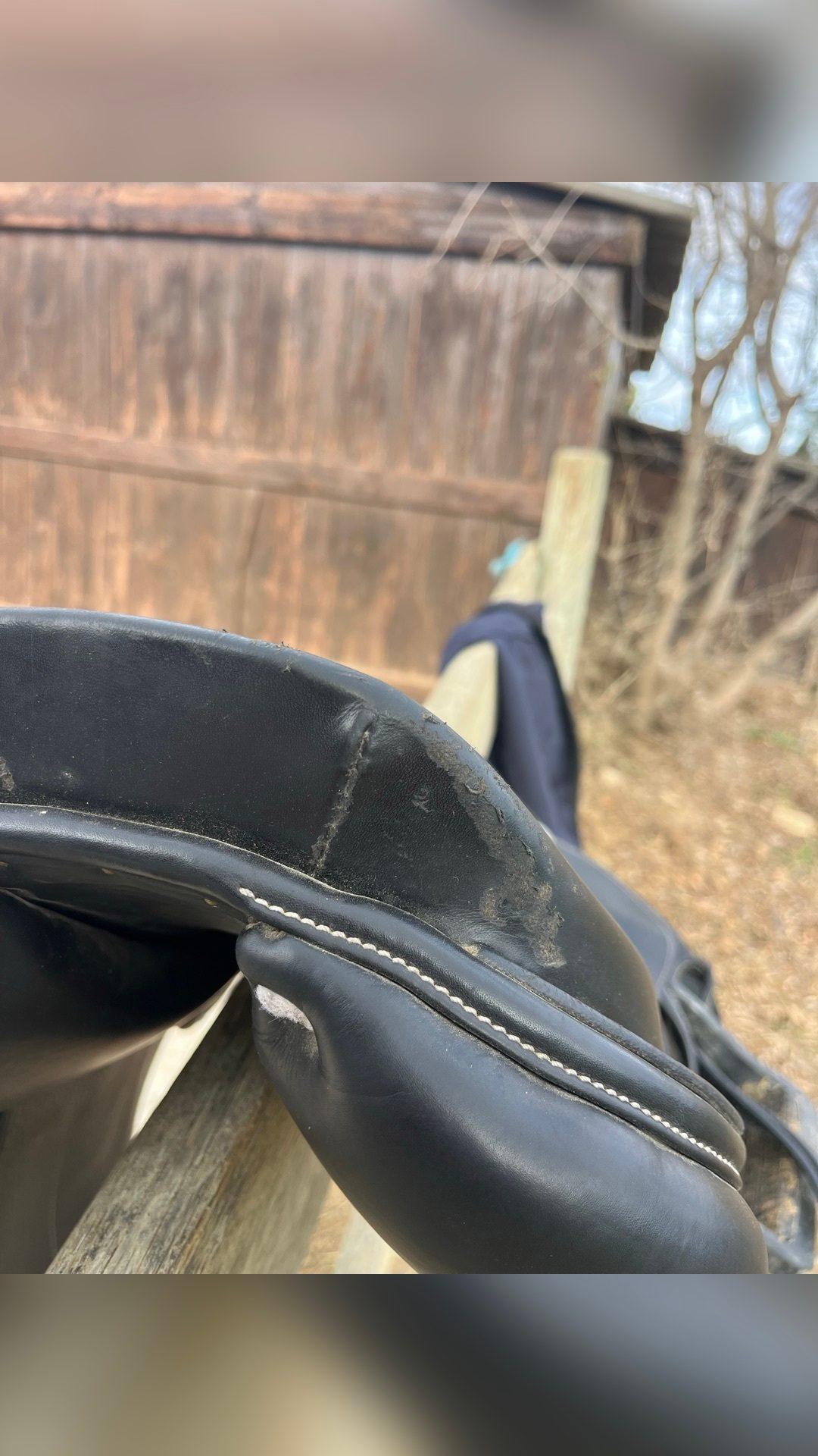 Selle mixte, média 5