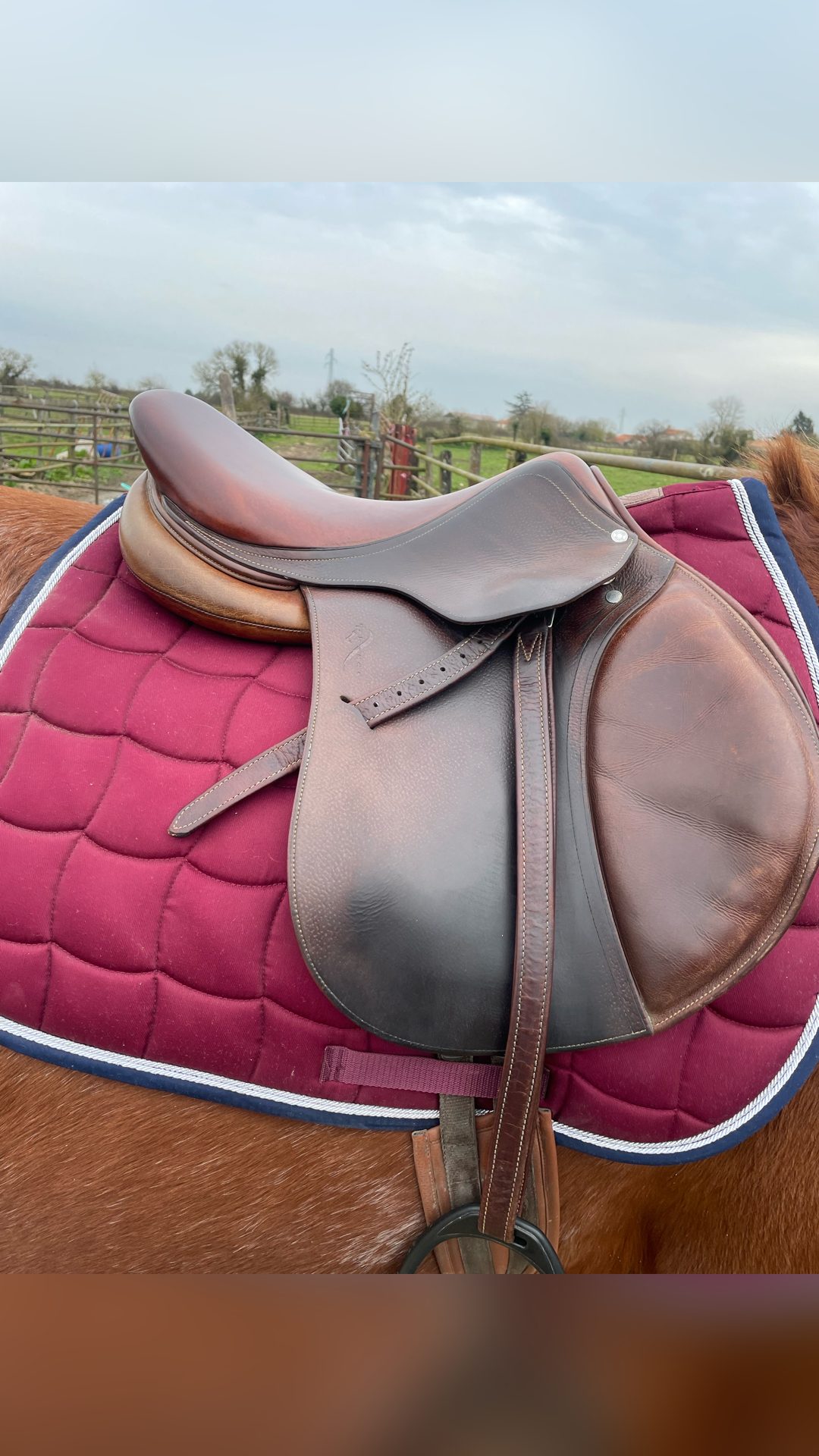 Selle Antarès, média 2