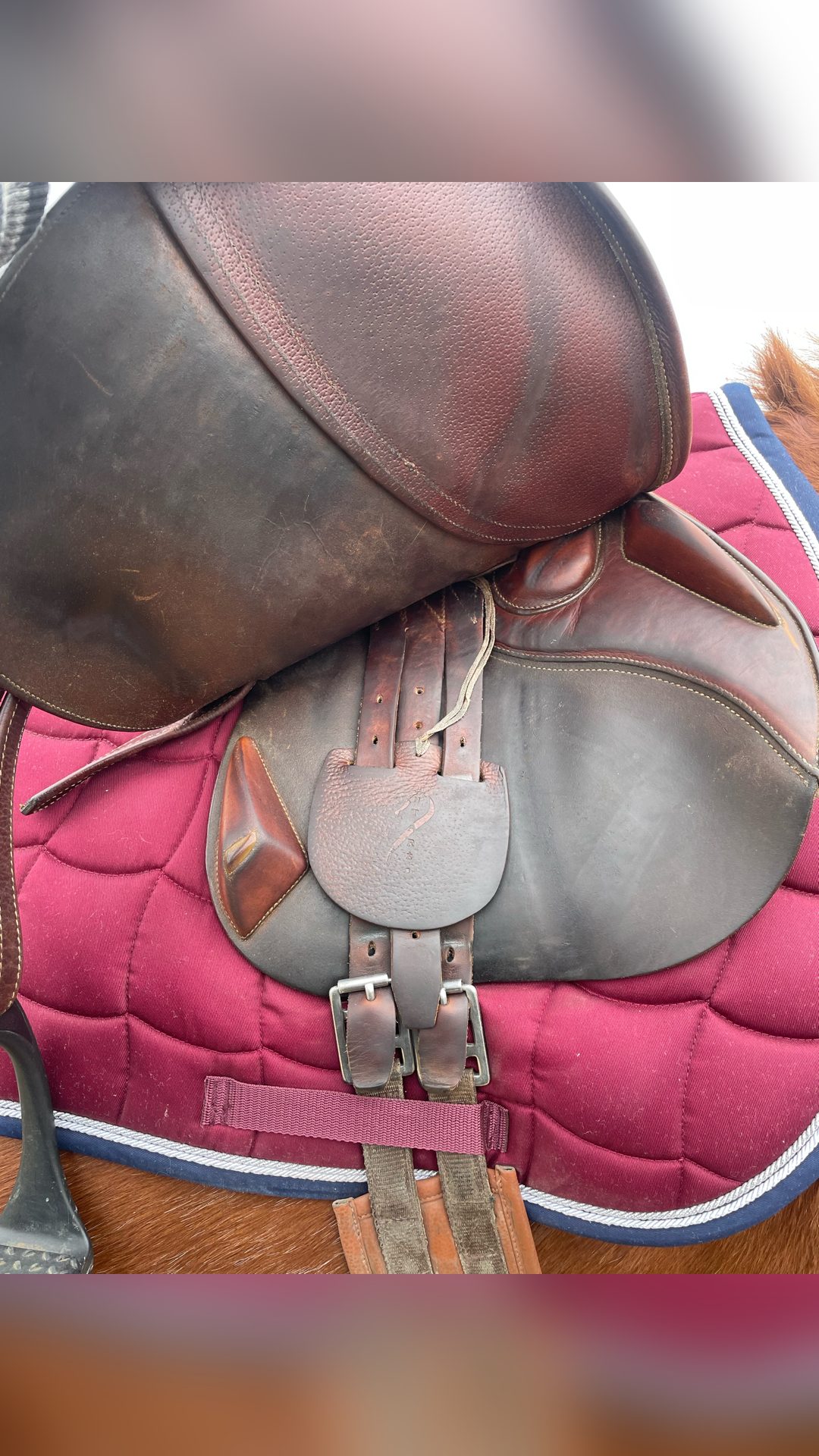 Selle Antarès, média 4