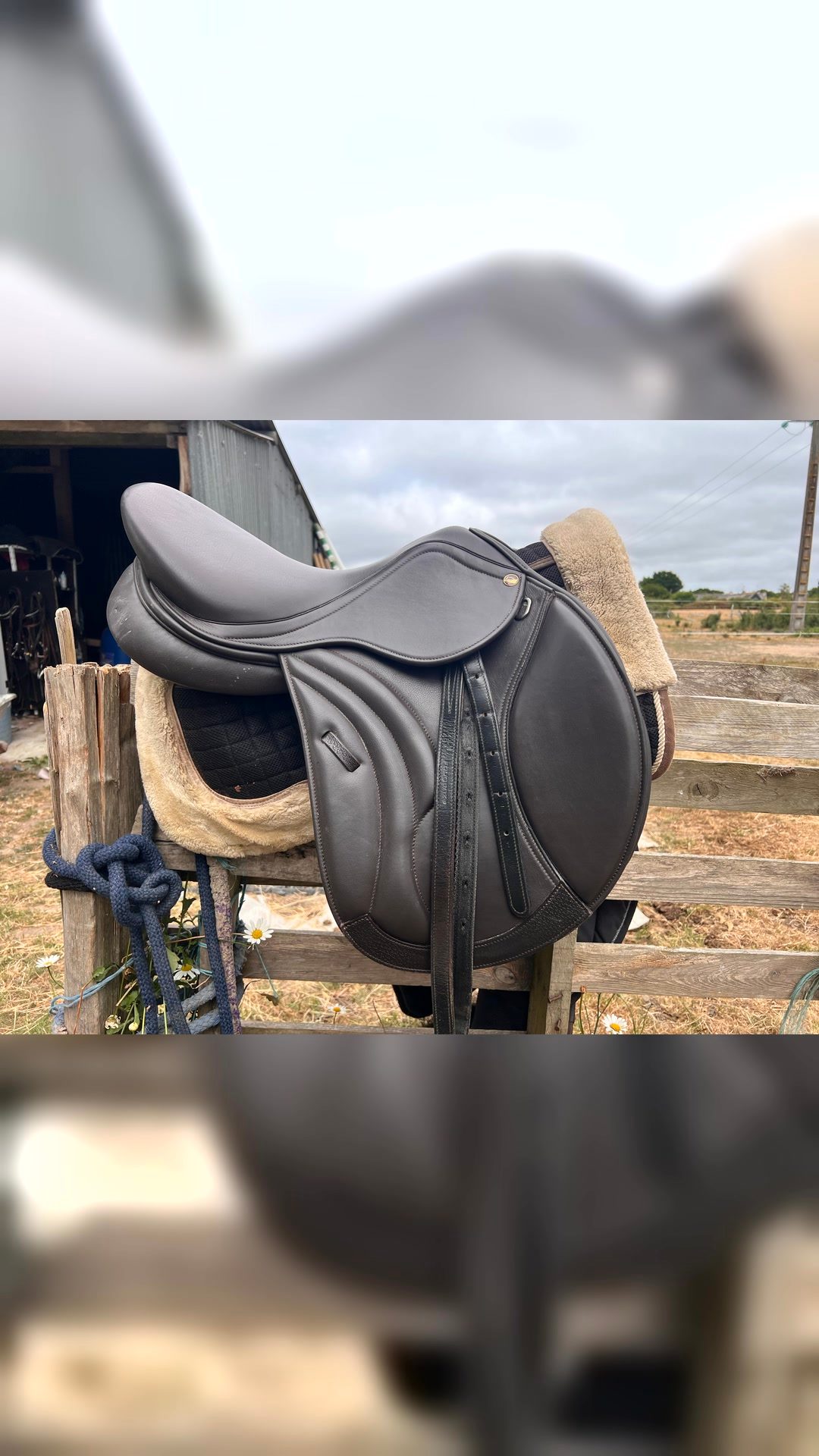 Selle 16,5, média 3
