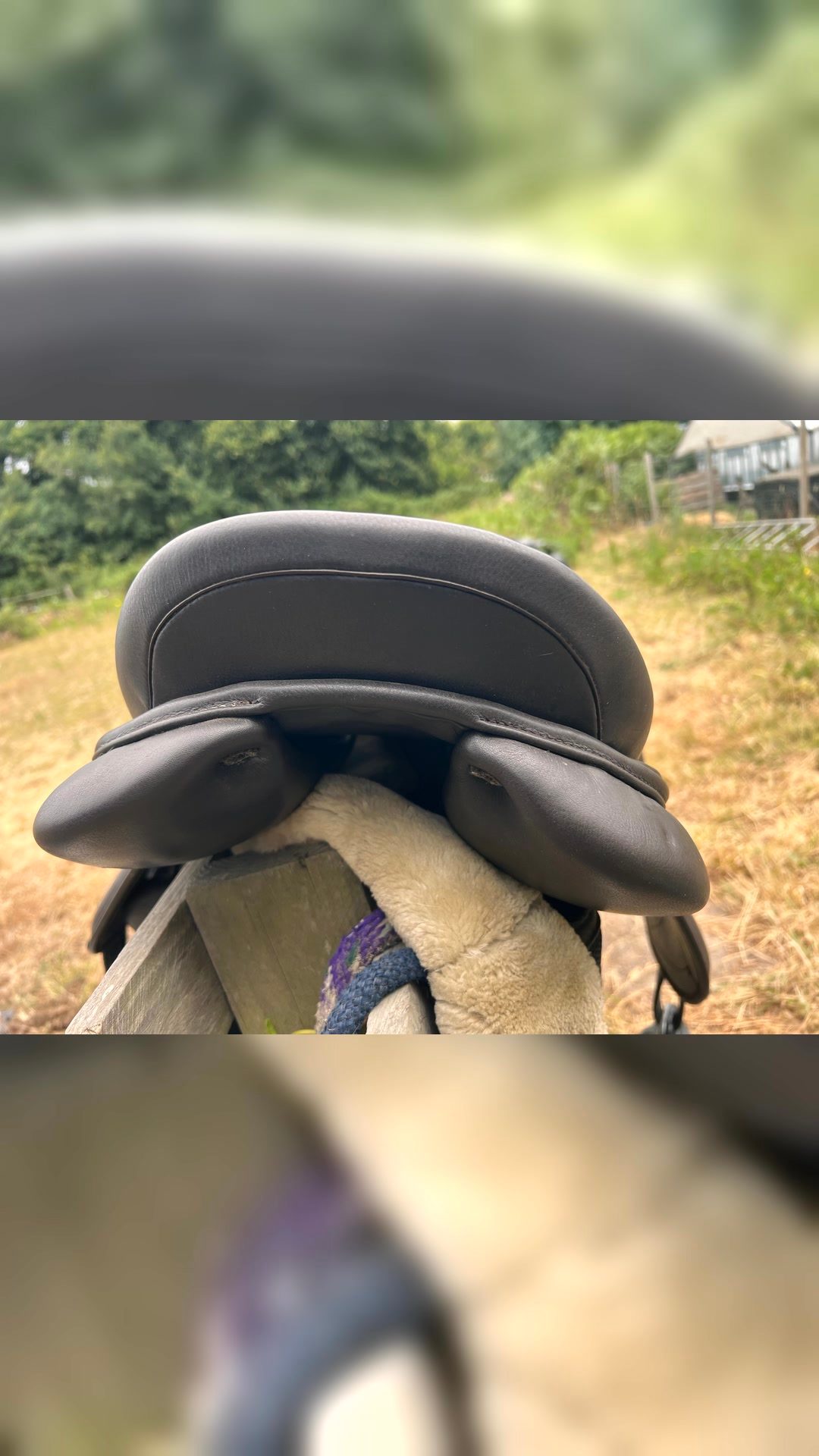 Selle 16,5, média 6