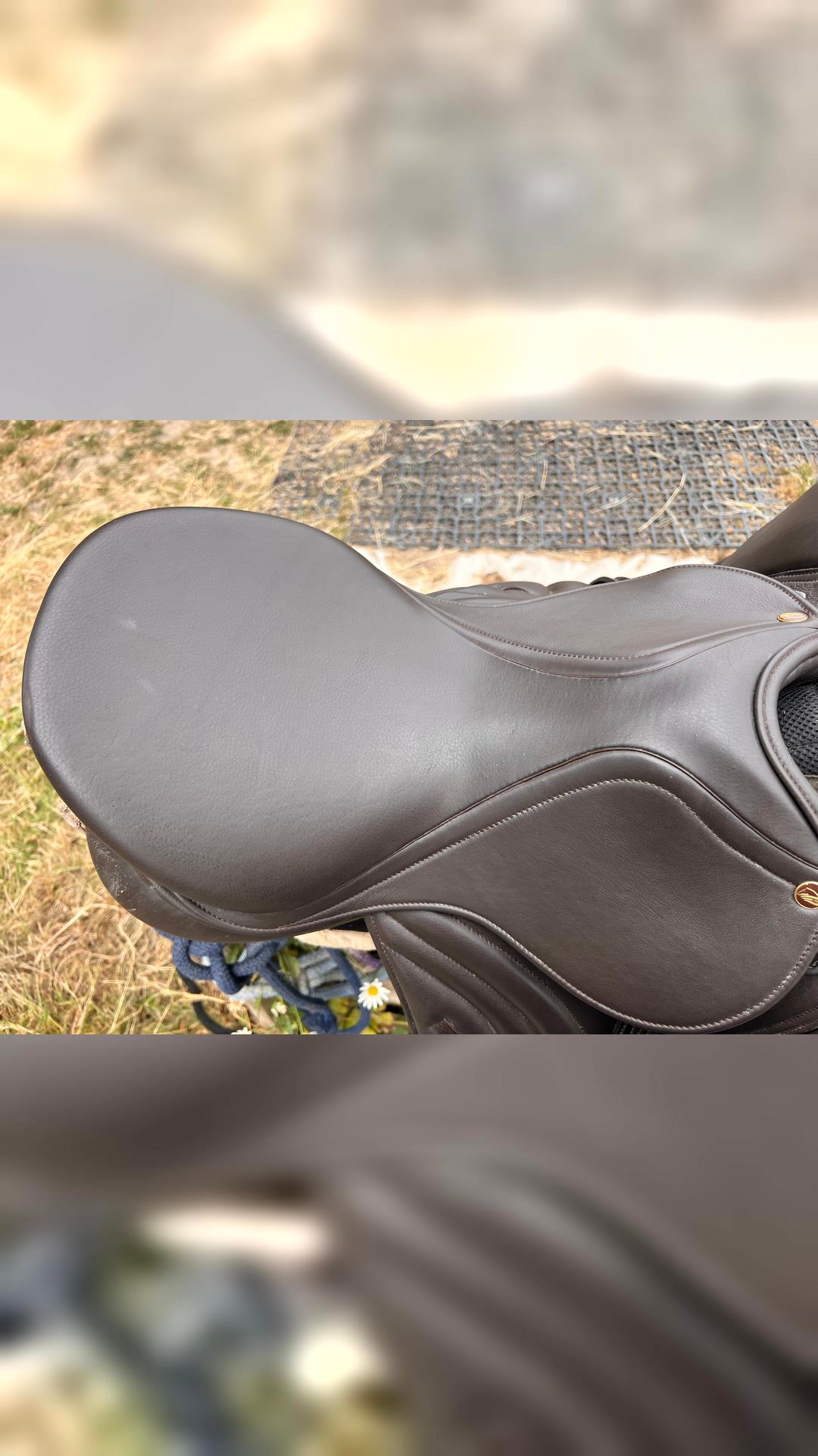 Selle 16,5, média 7