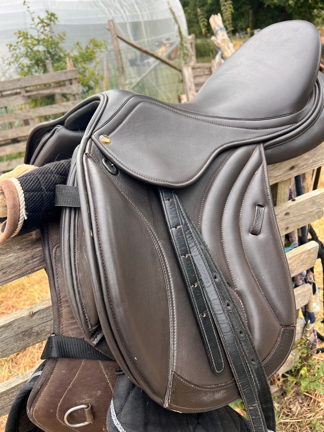 Selle 16,5, média 4