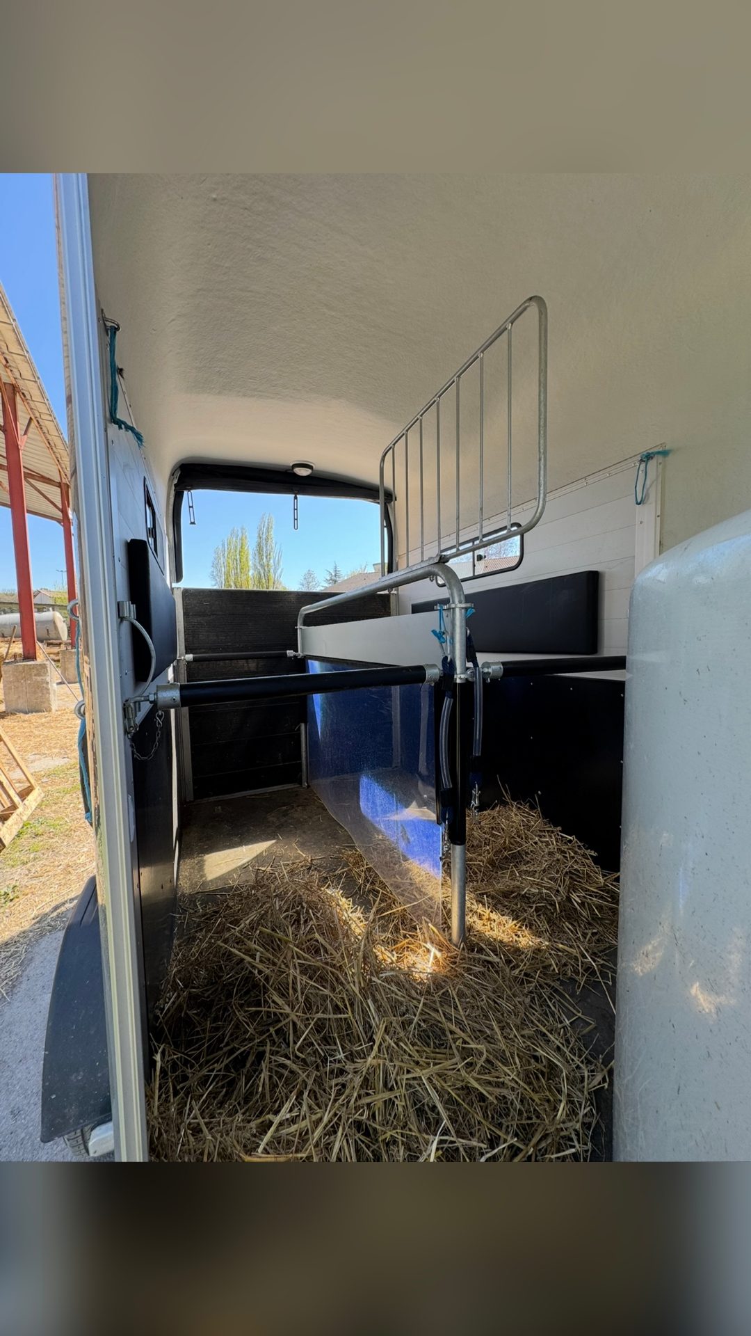 A vendre van Cheval Liberté Gold 3, média 4