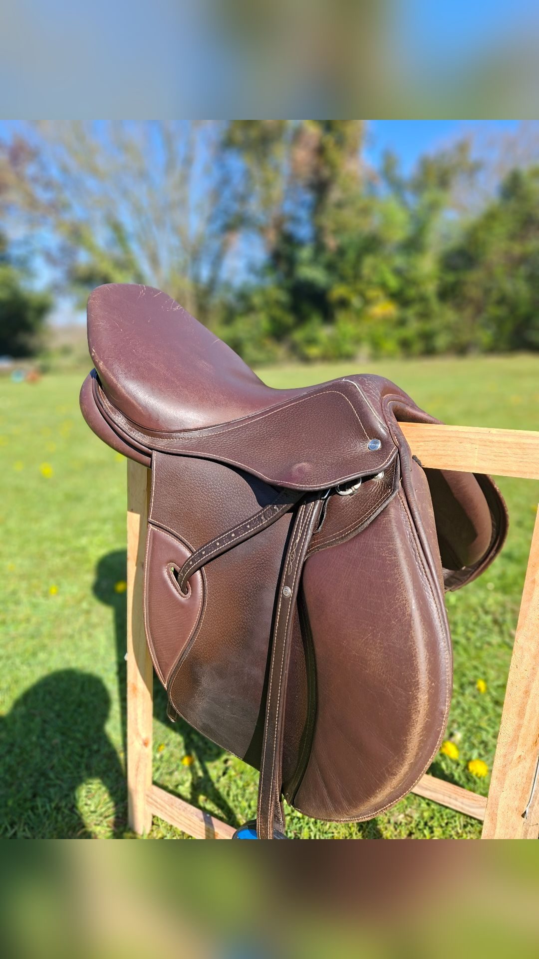 Selle Roméo 17"5, média 8
