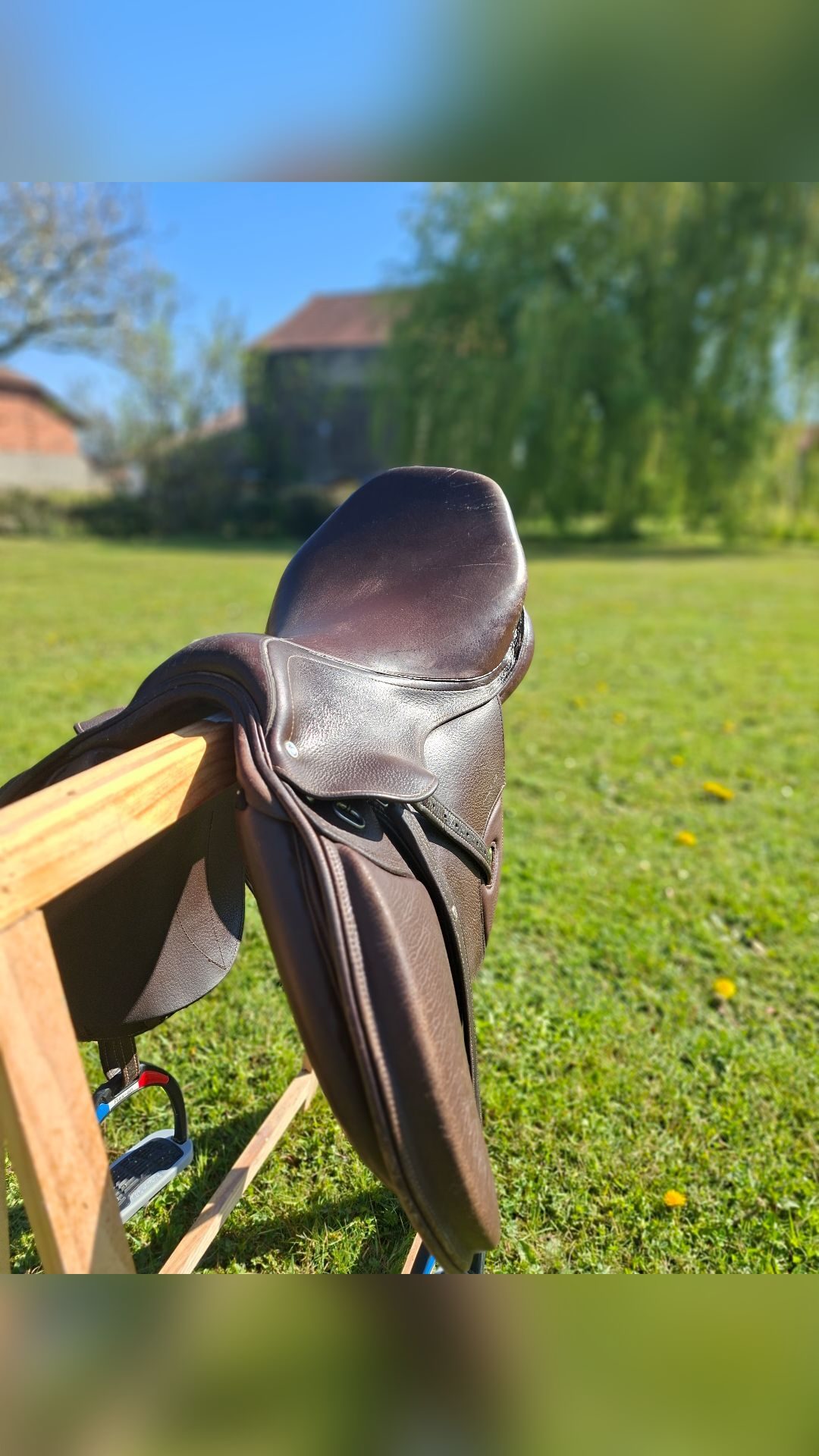 Selle Roméo 17"5, média 10
