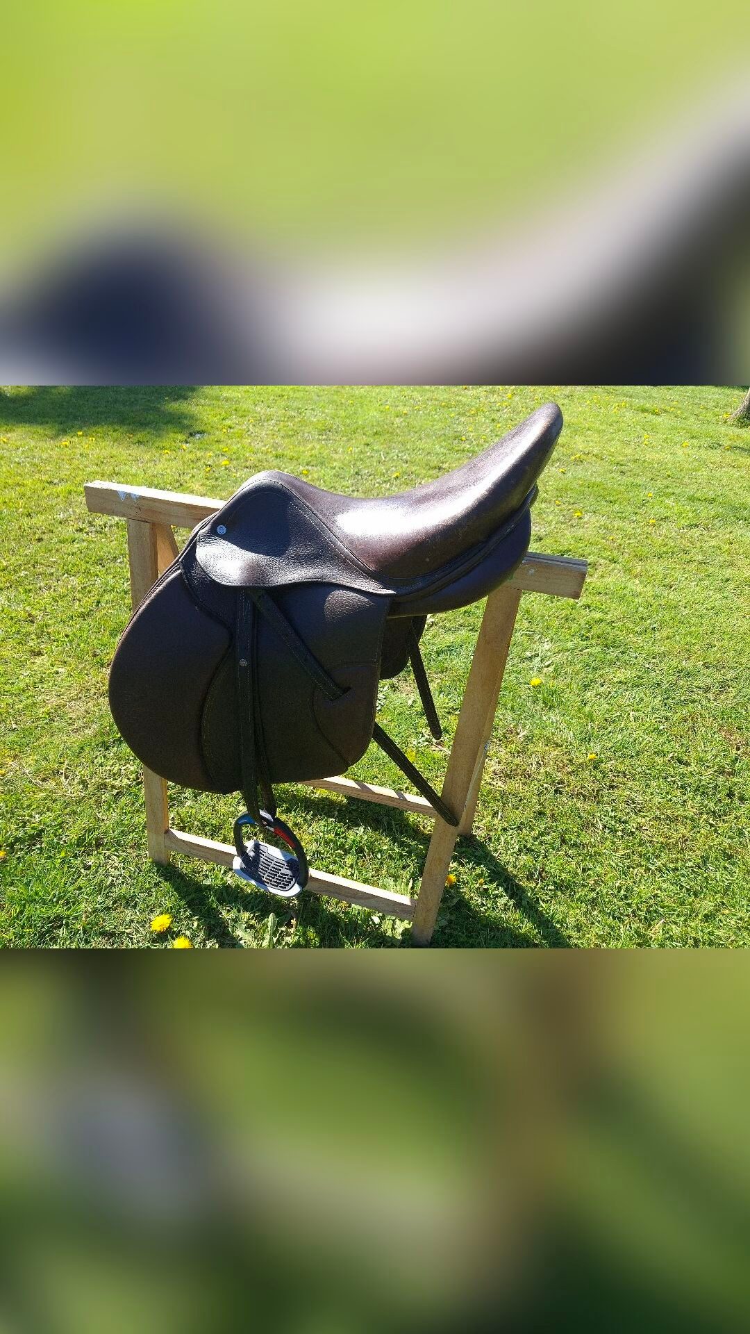 Selle Roméo 17"5, média 11