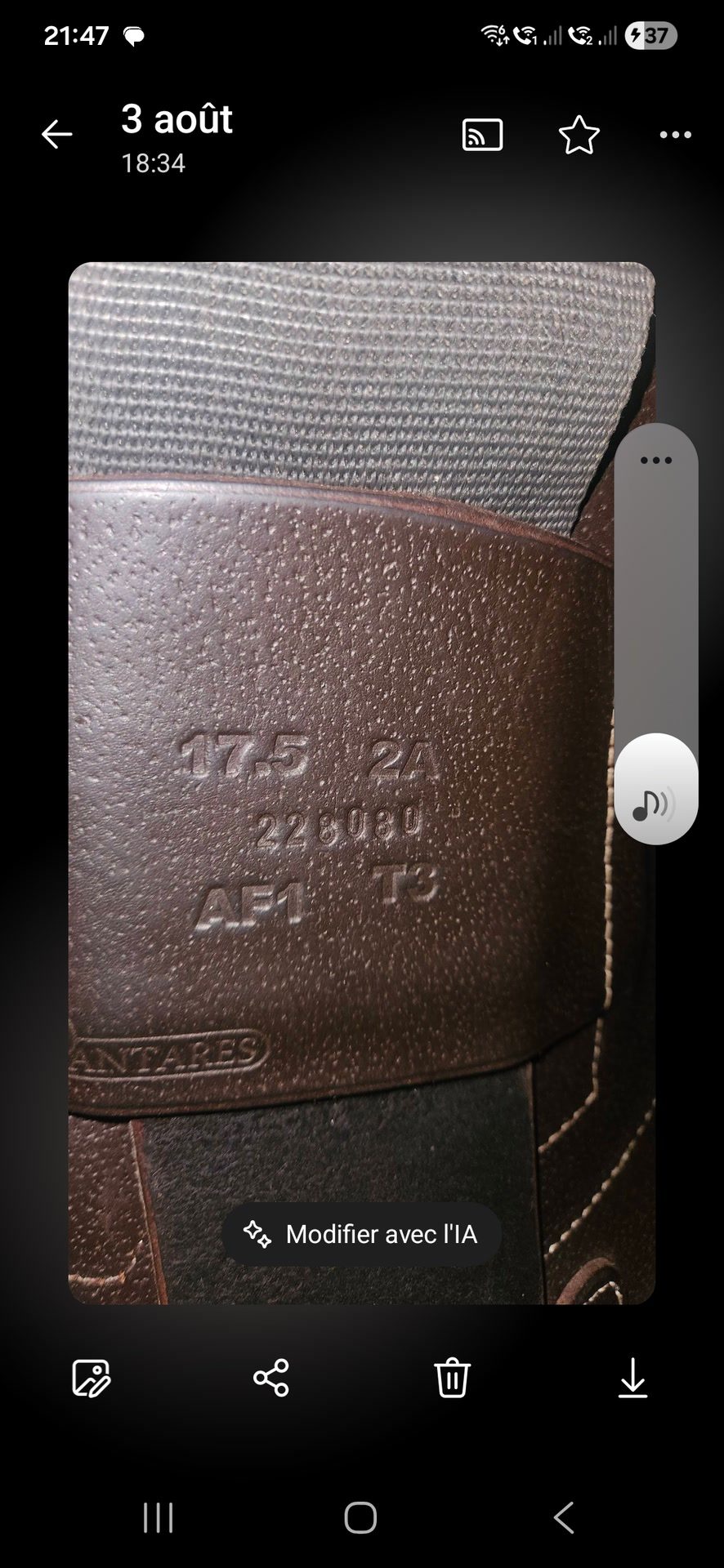 Selle Antarès Altaïr 17,5, média 2