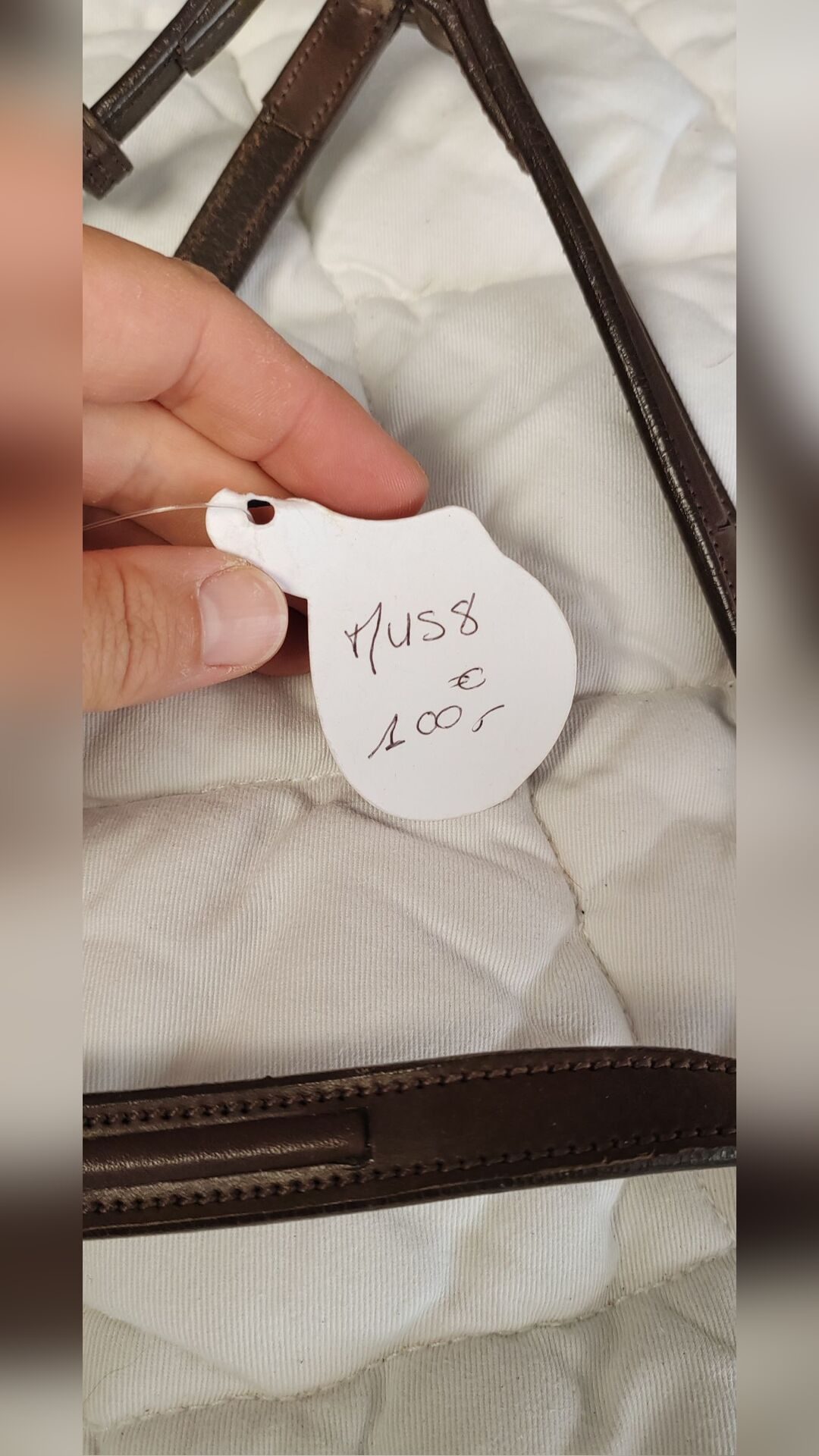 Muserolle croisée GBS, média 2