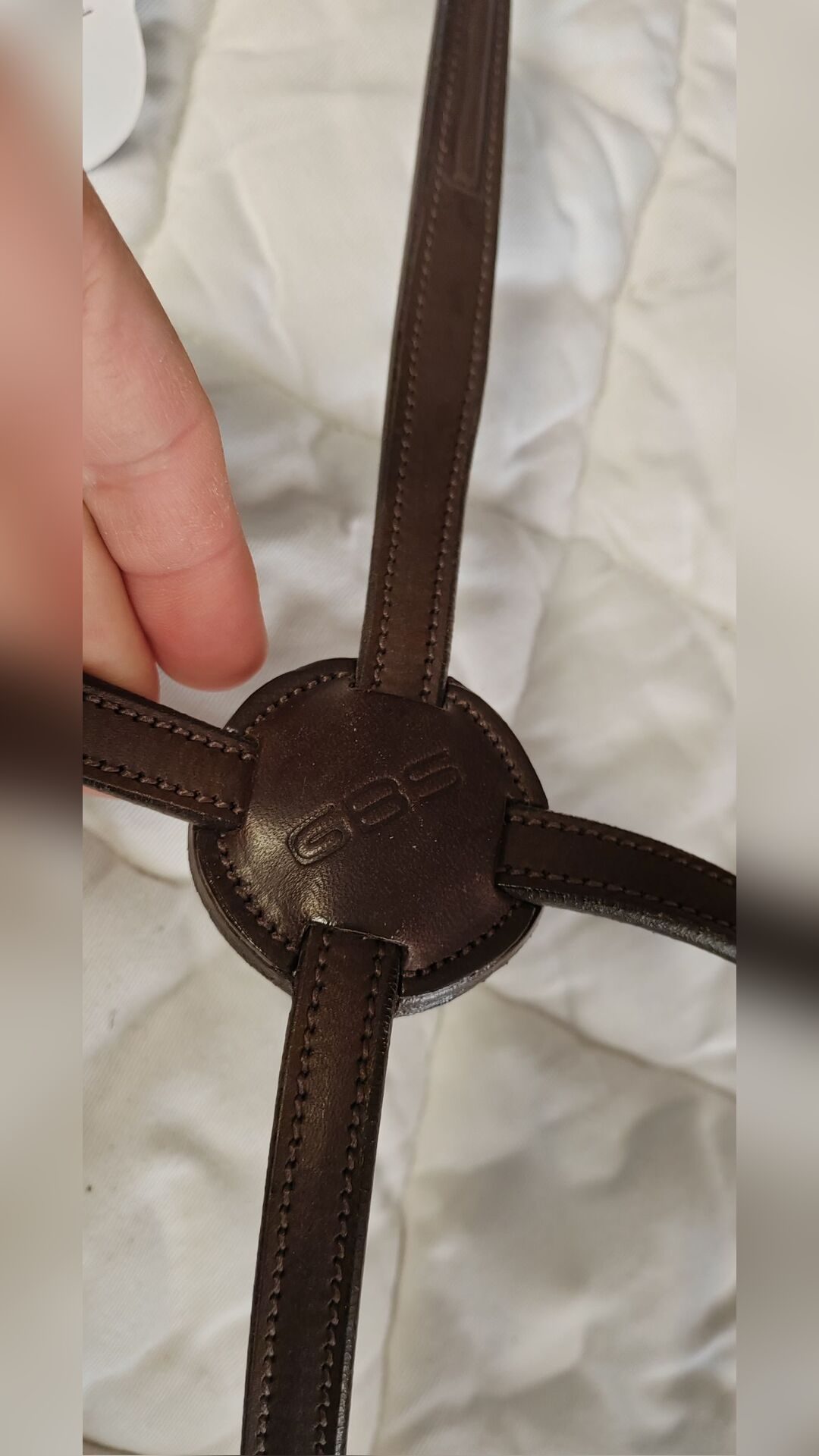 Muserolle croisée GBS, média 3