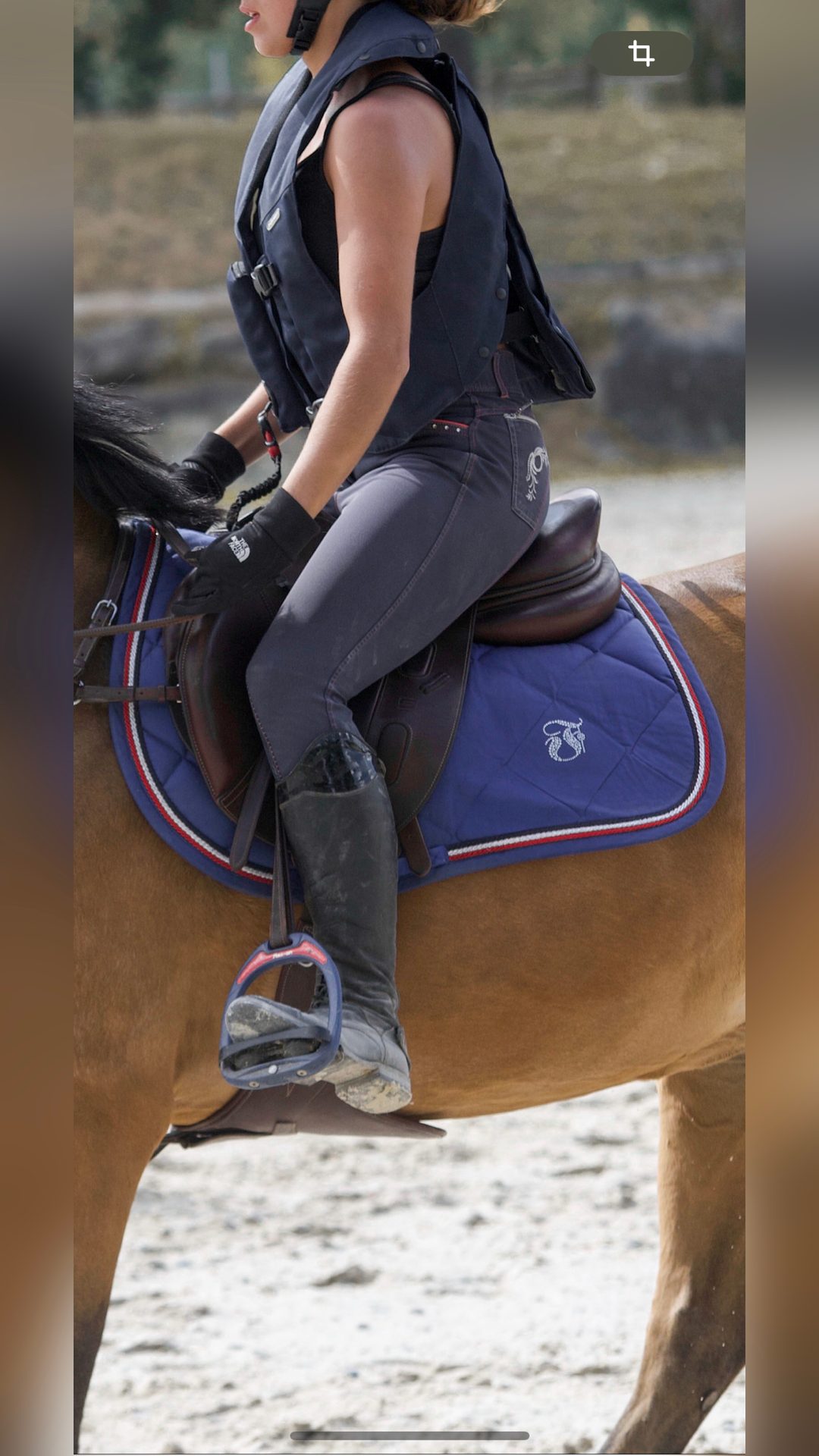 Tapis Fhorse2024, média 2