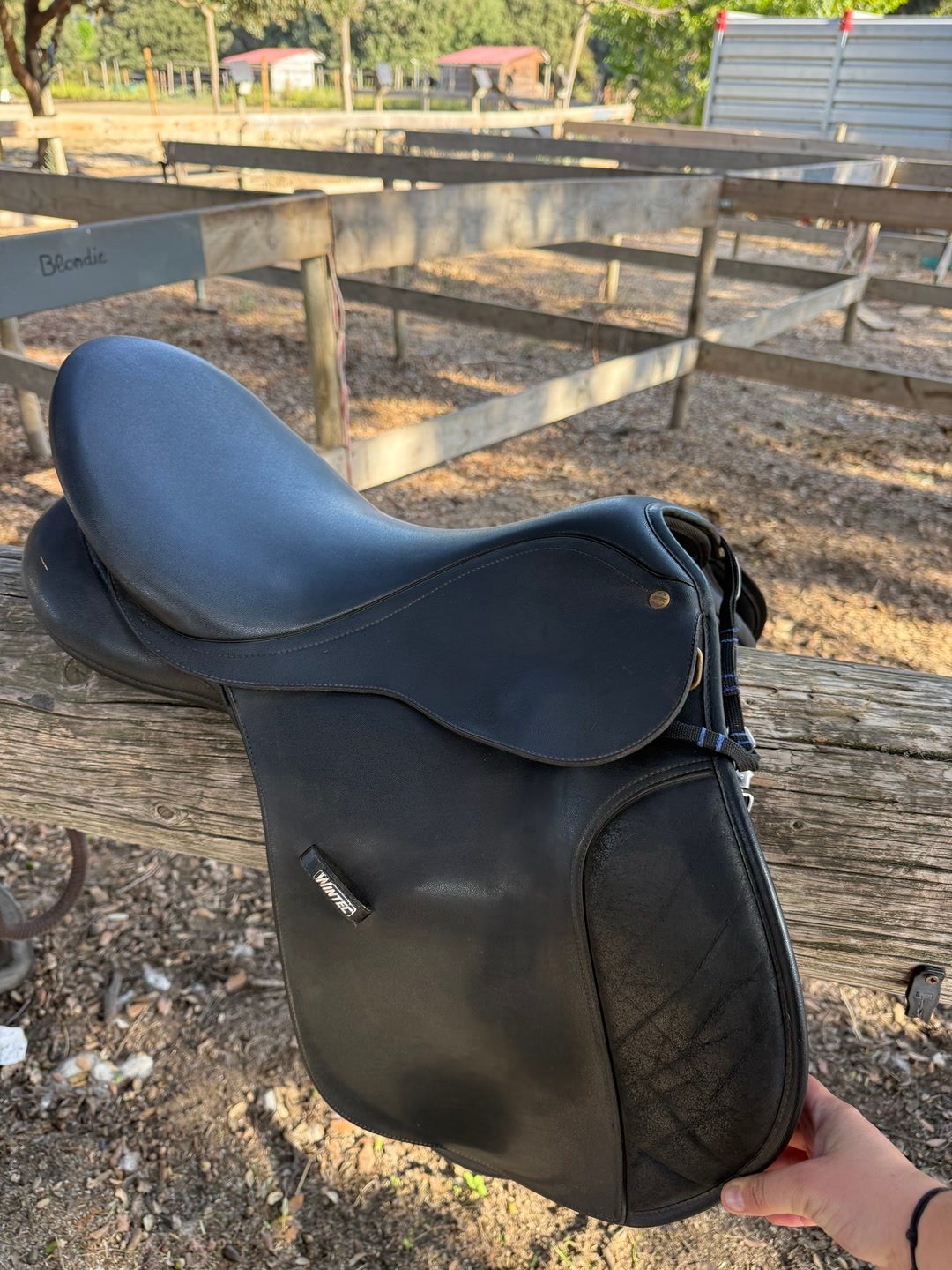 Selle wintec 250, média 2