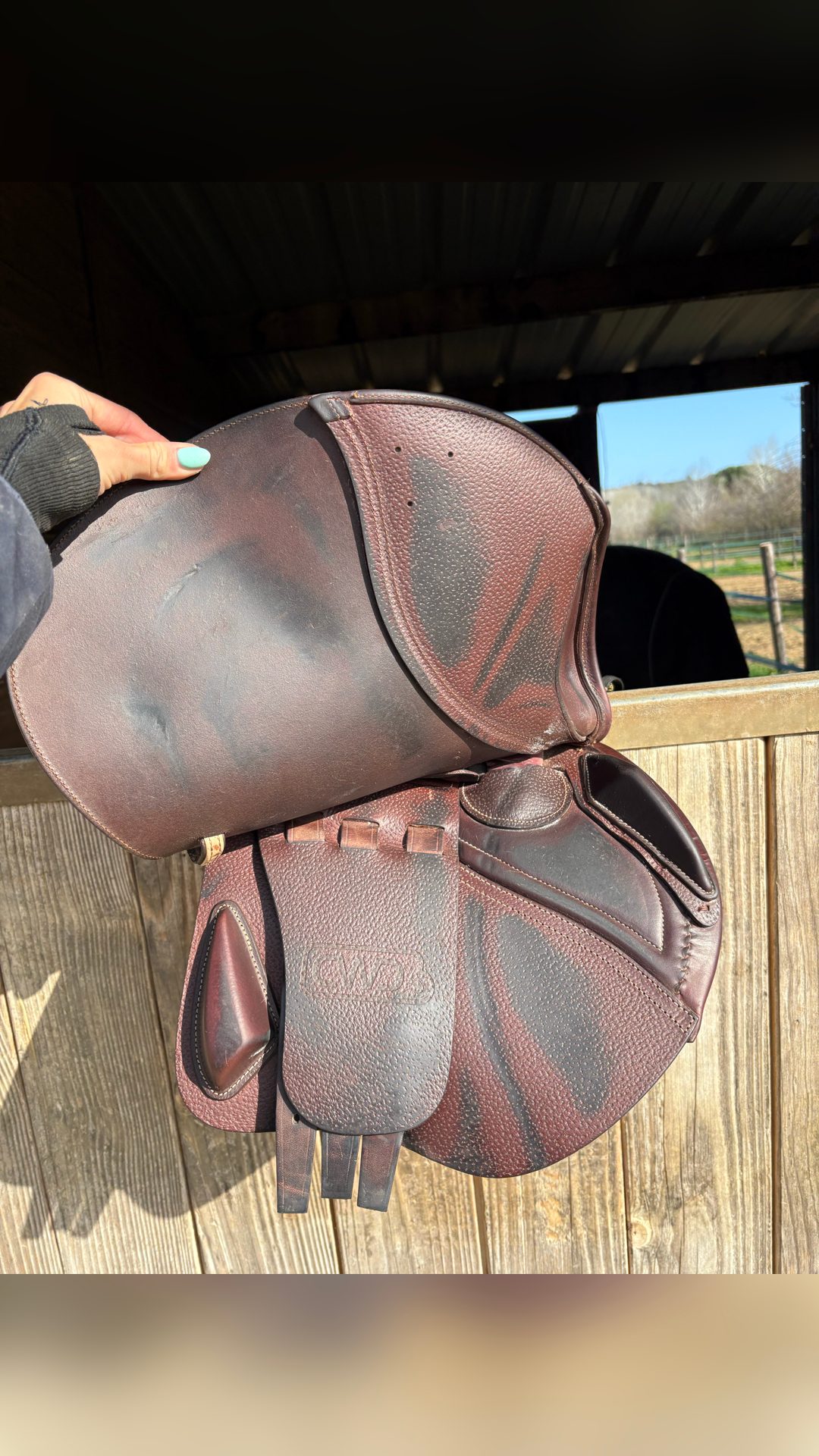 Selle CWD, média 4