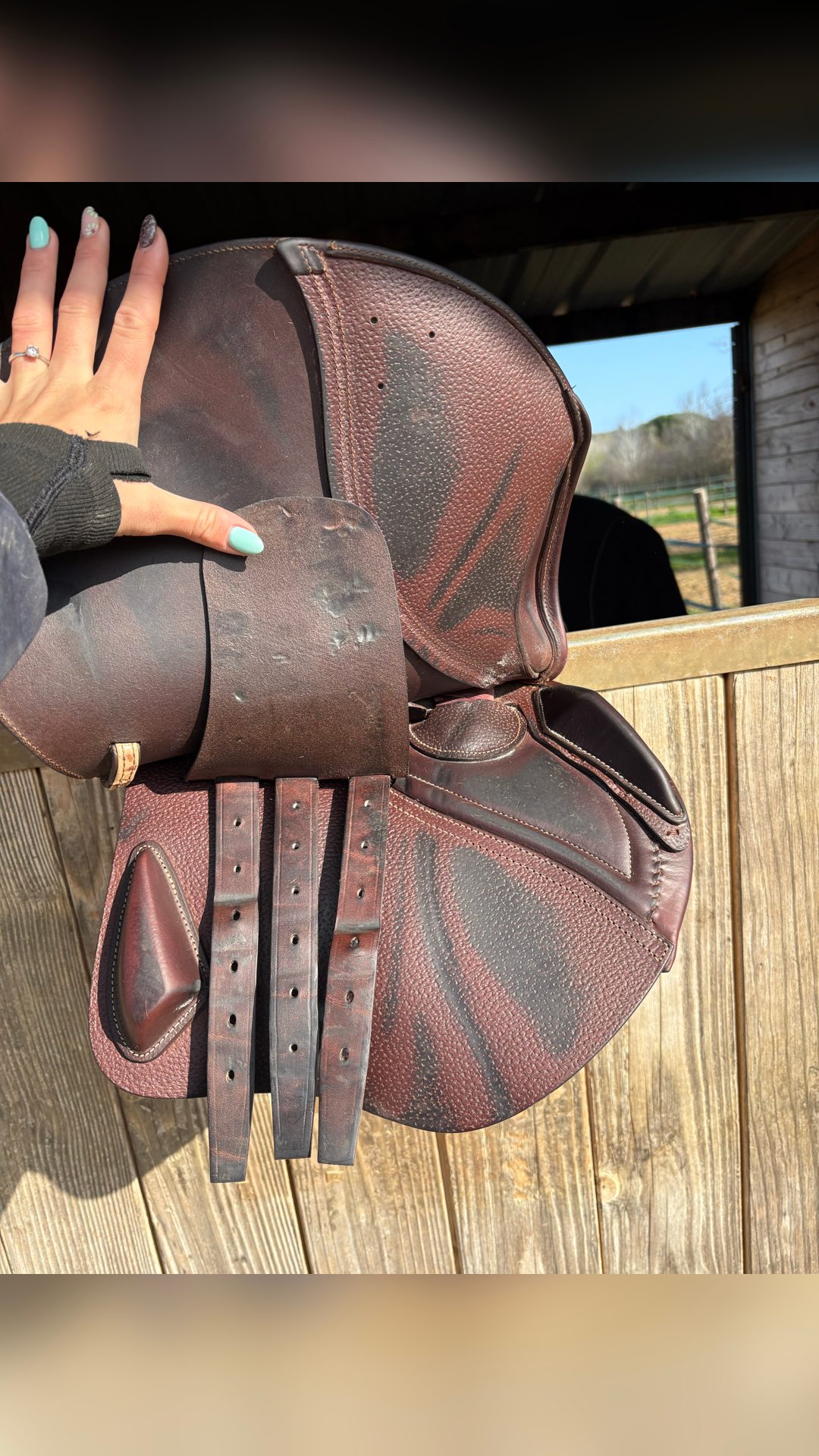 Selle CWD, média 5