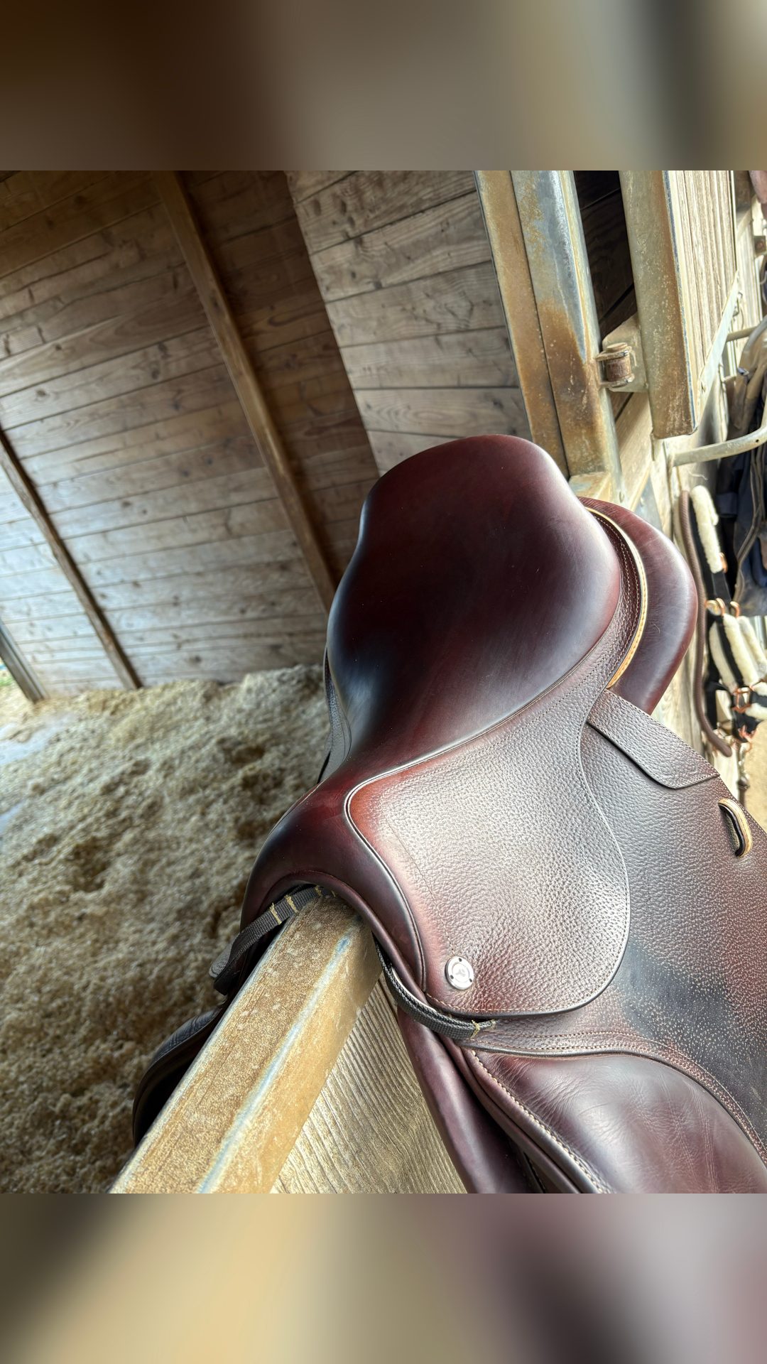 Selle CWD, média 8