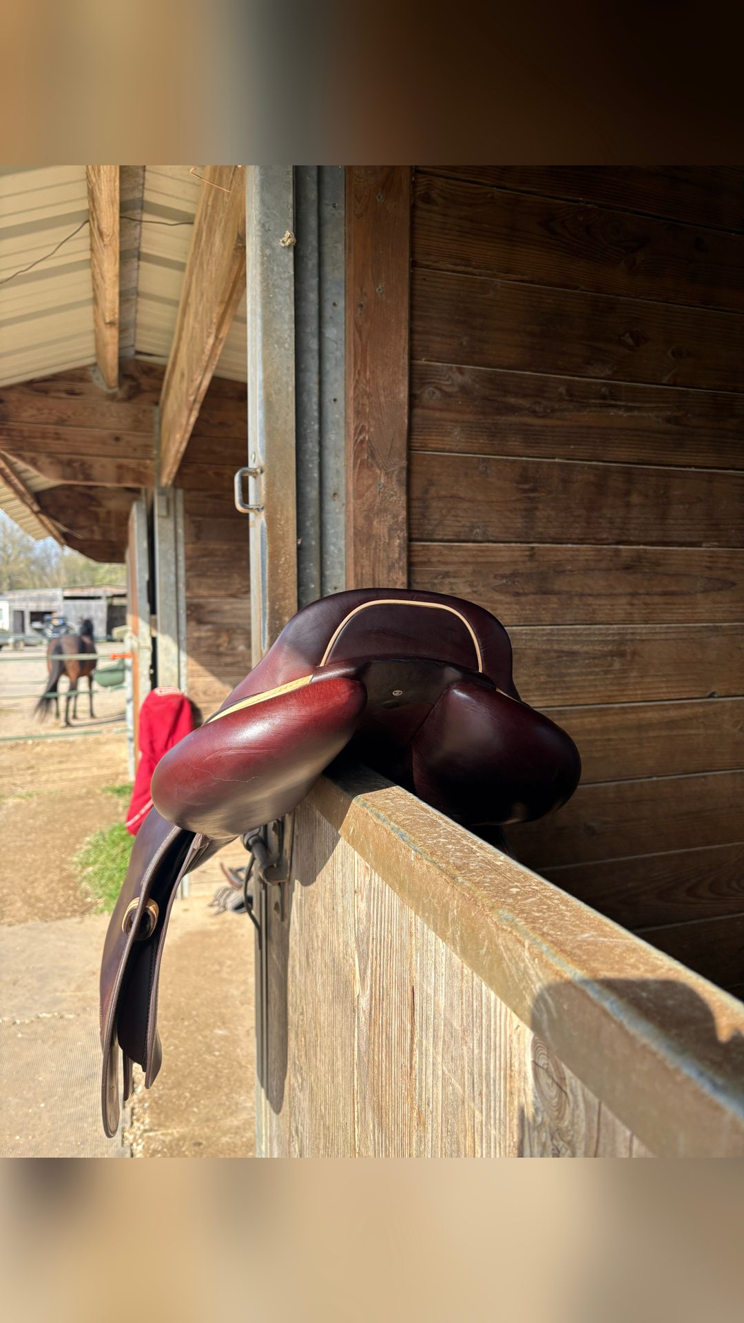 Selle CWD, média 10