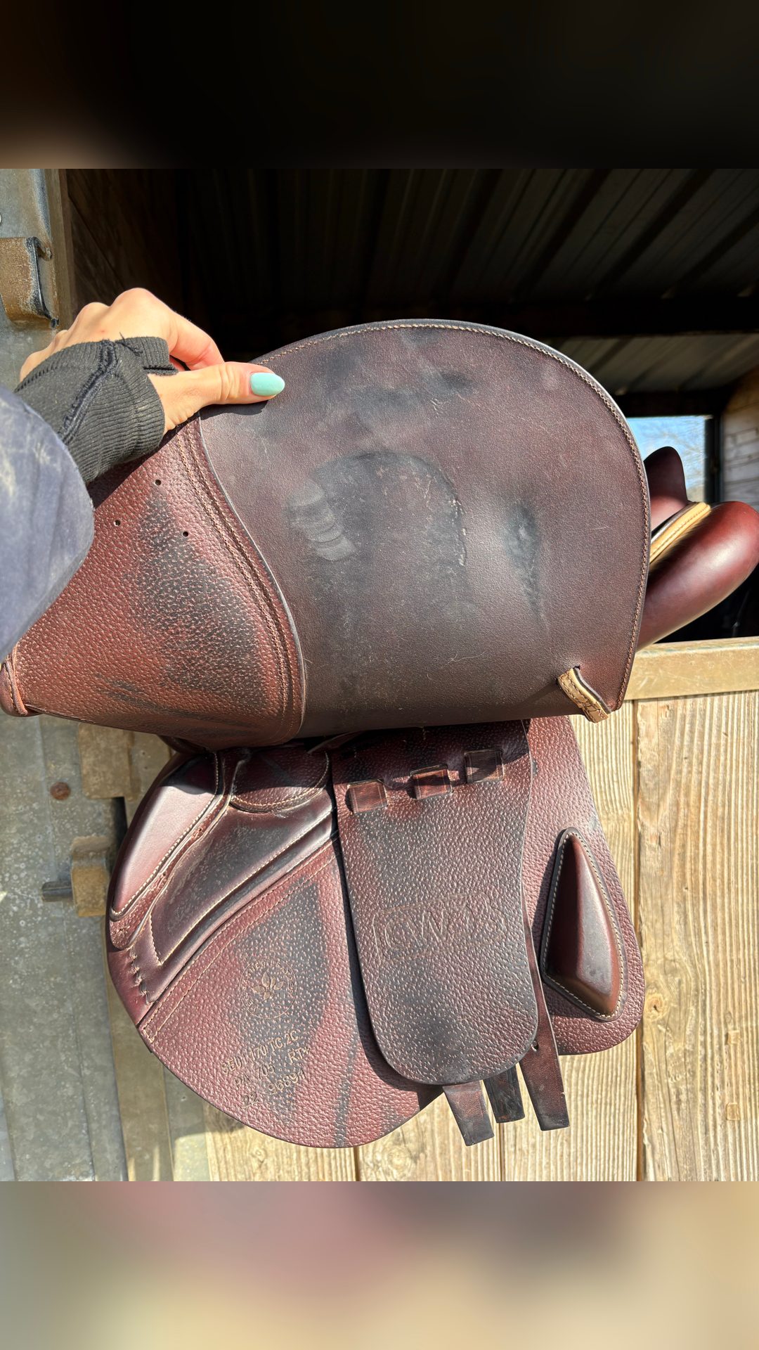 Selle CWD, média 11