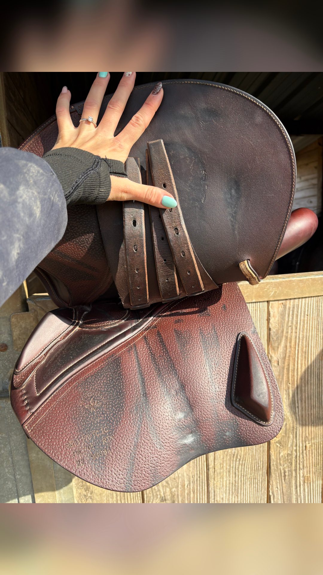 Selle CWD, média 12