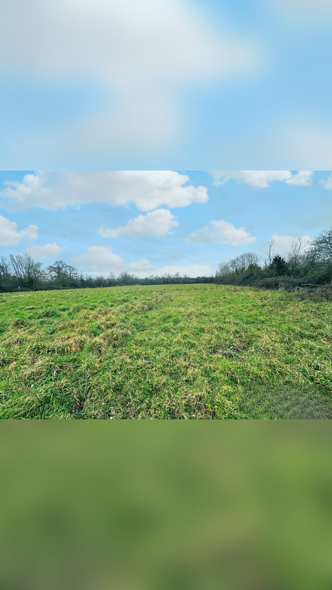 Propriété avec maison en pierre, deux gîtes et installations équestres, média 4
