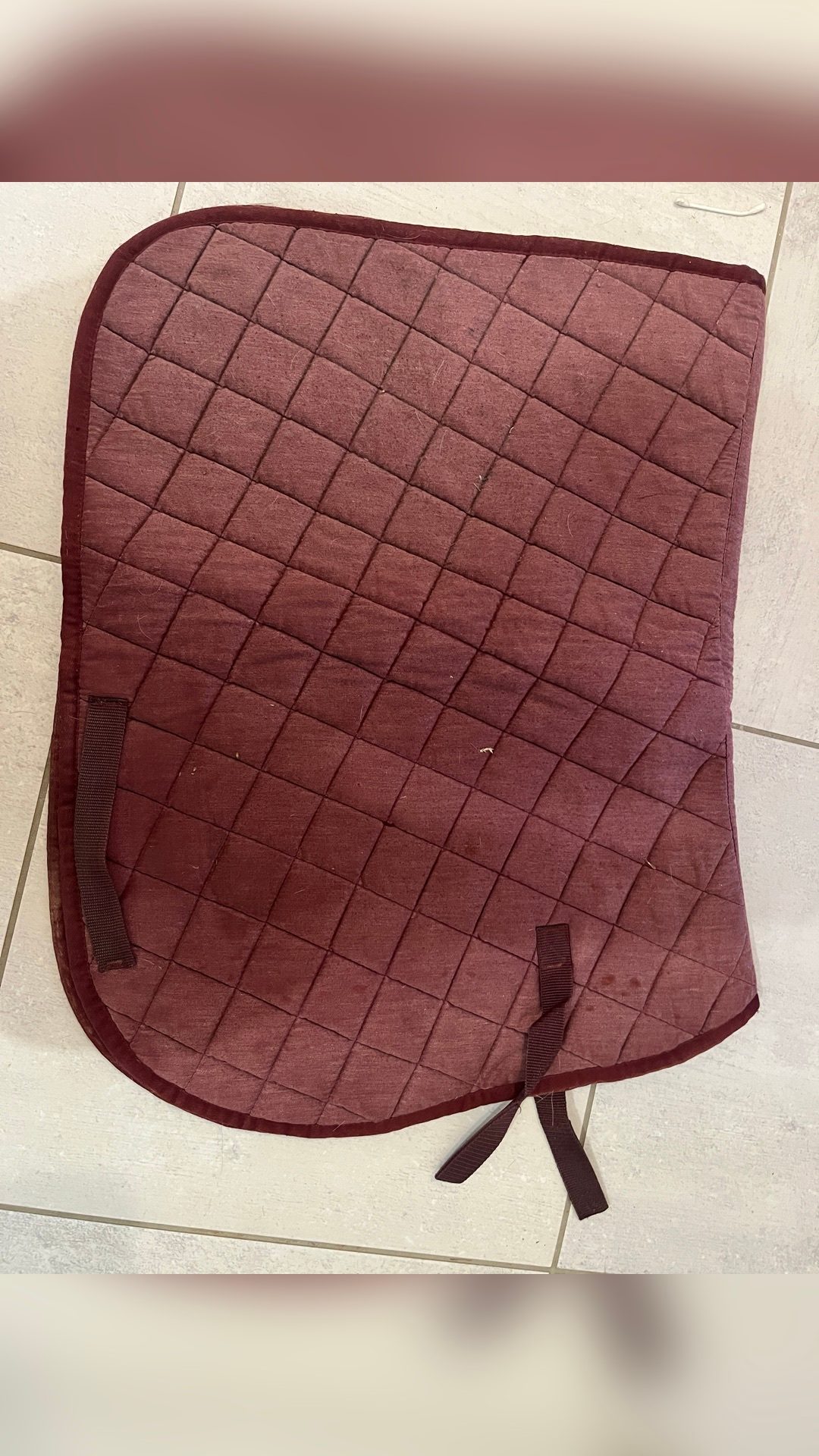 Tapis, média 2