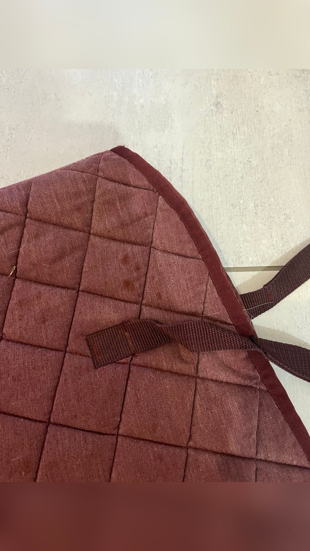 Tapis, média 3