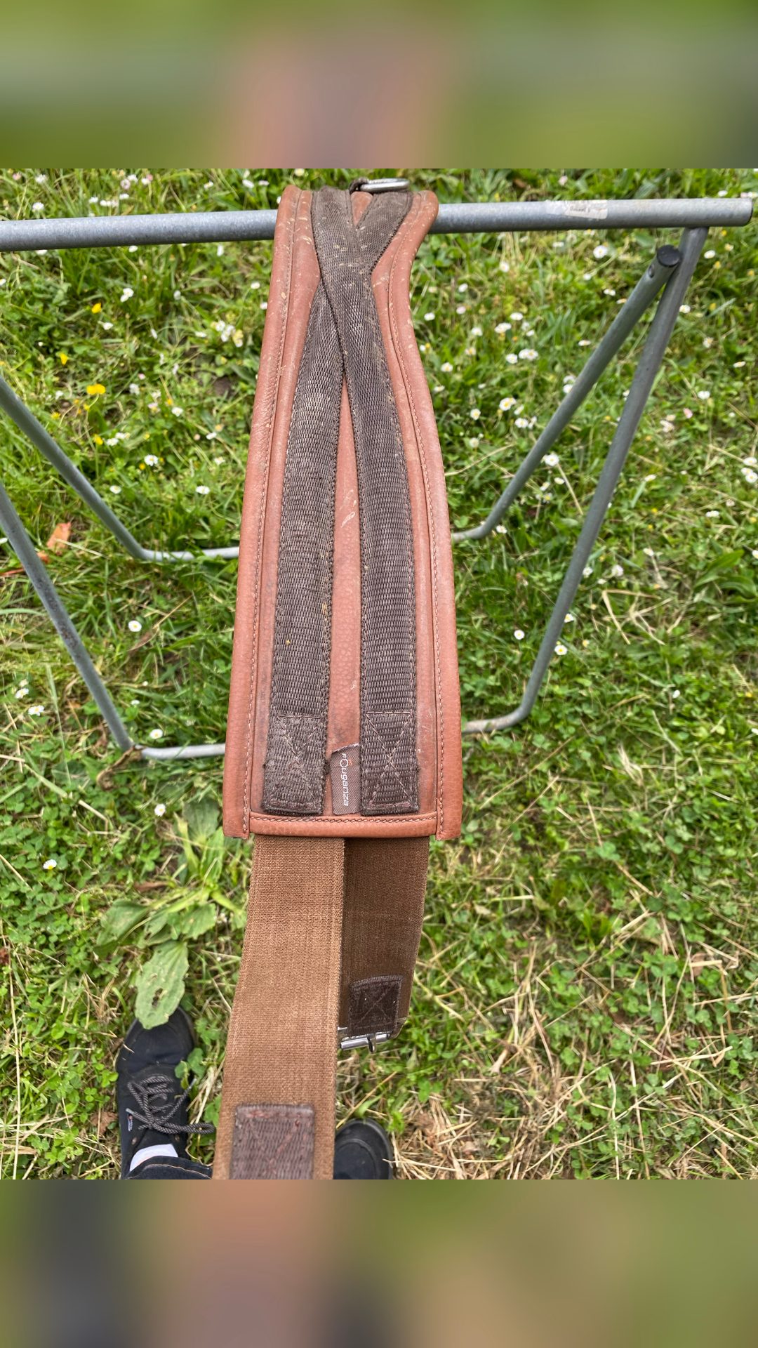 Sangle marron, média 2