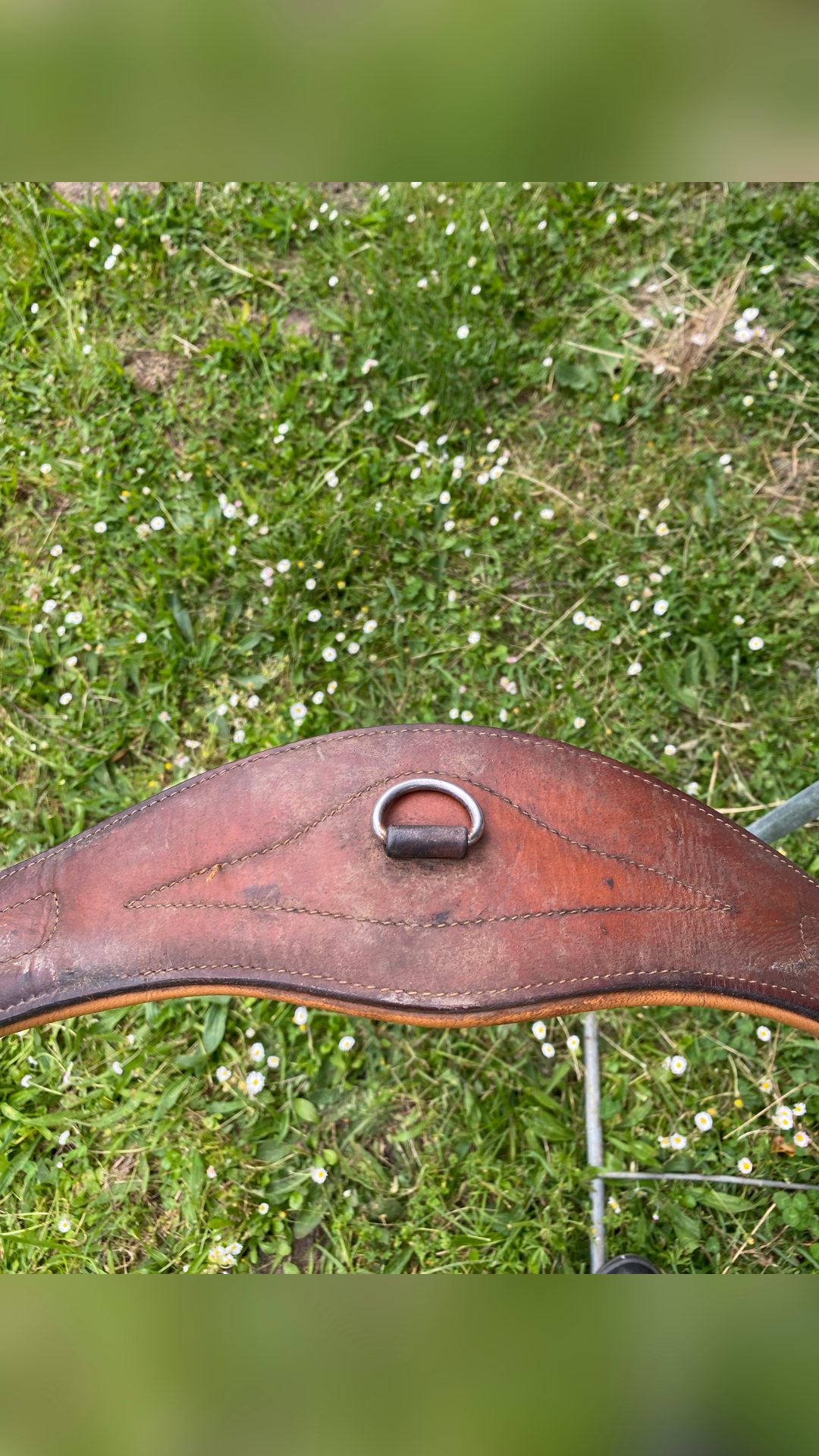 Sangle cuir marron, média 2