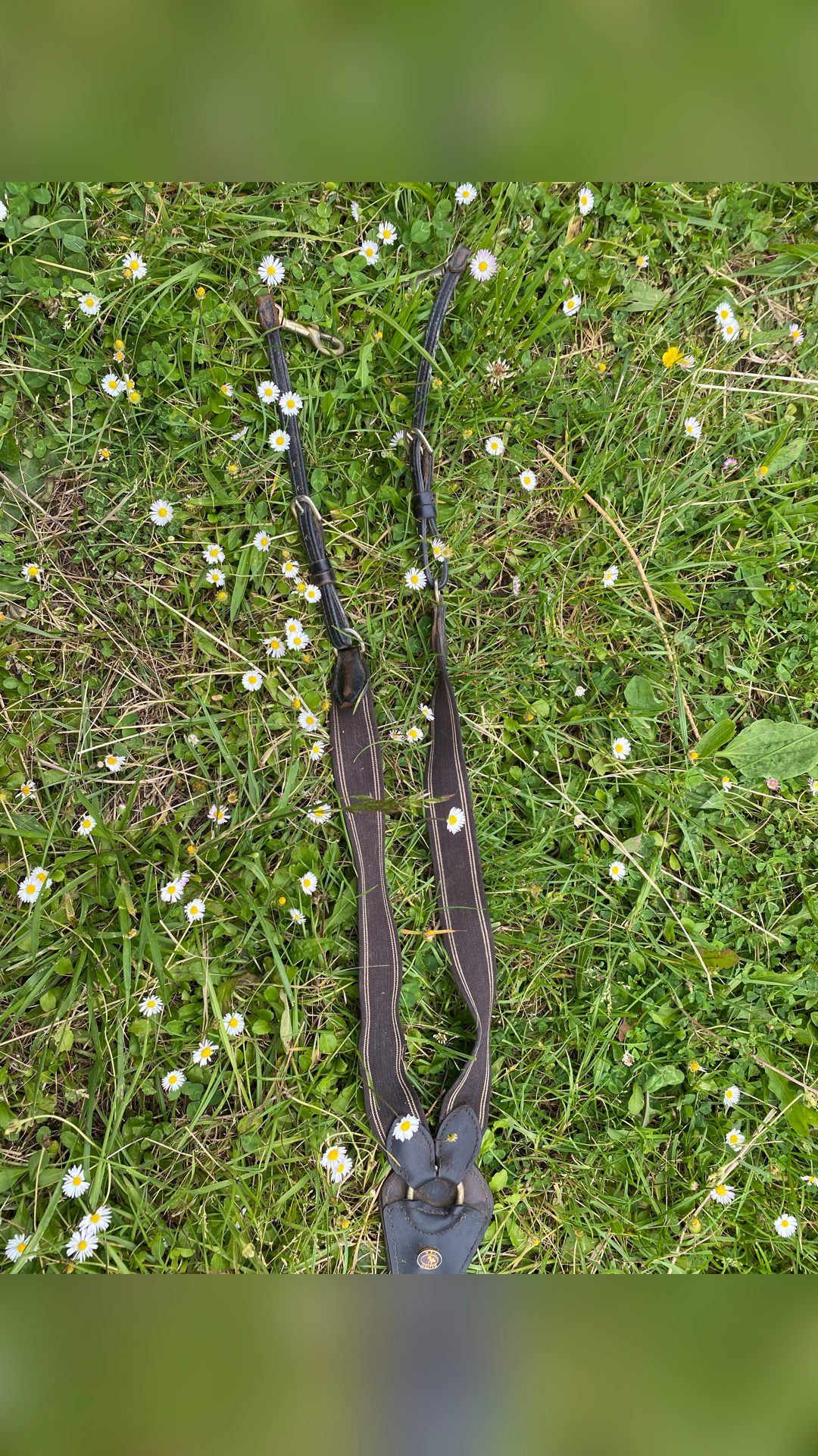 Collier de chasse cuire marron, média 2