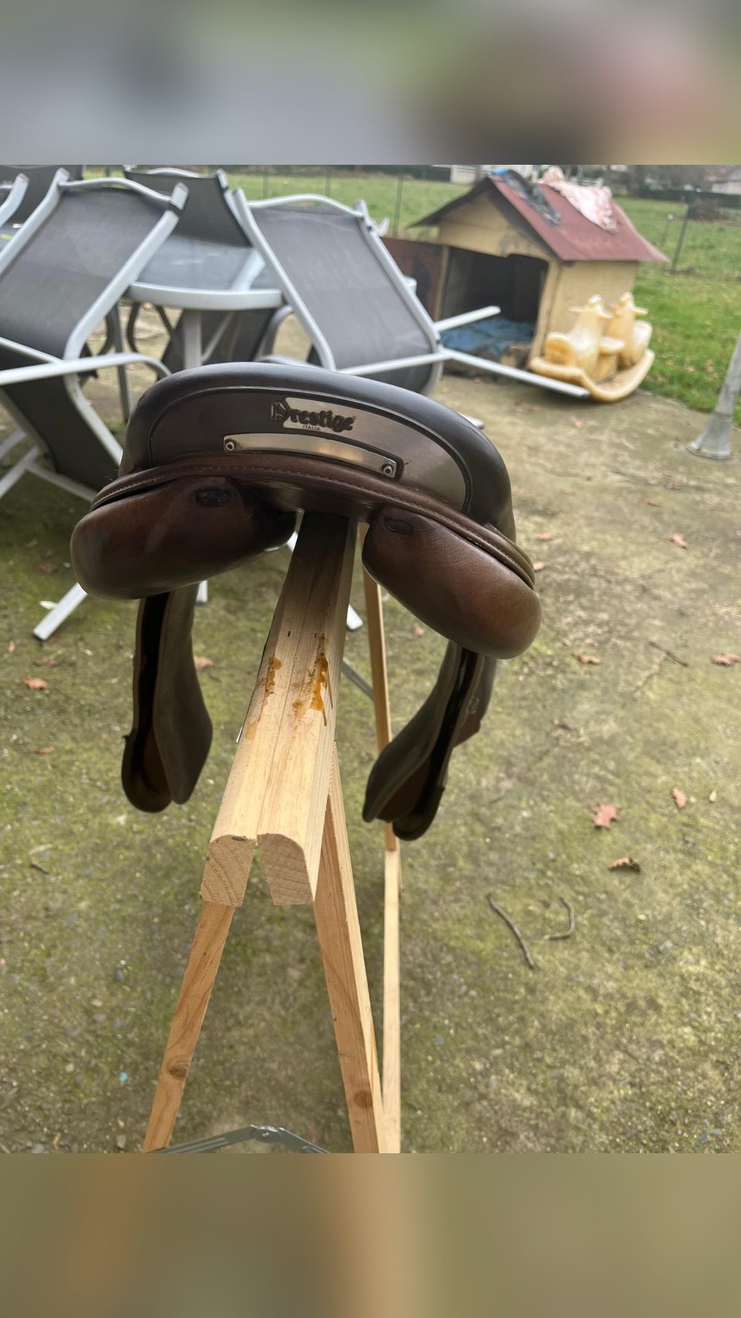 Selle de saut, média 4