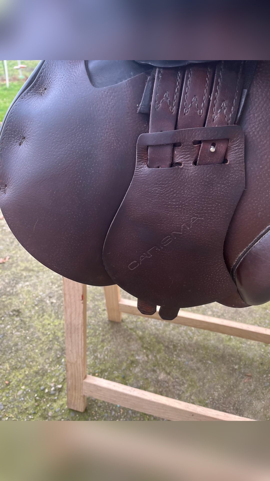 Selle de saut, média 5