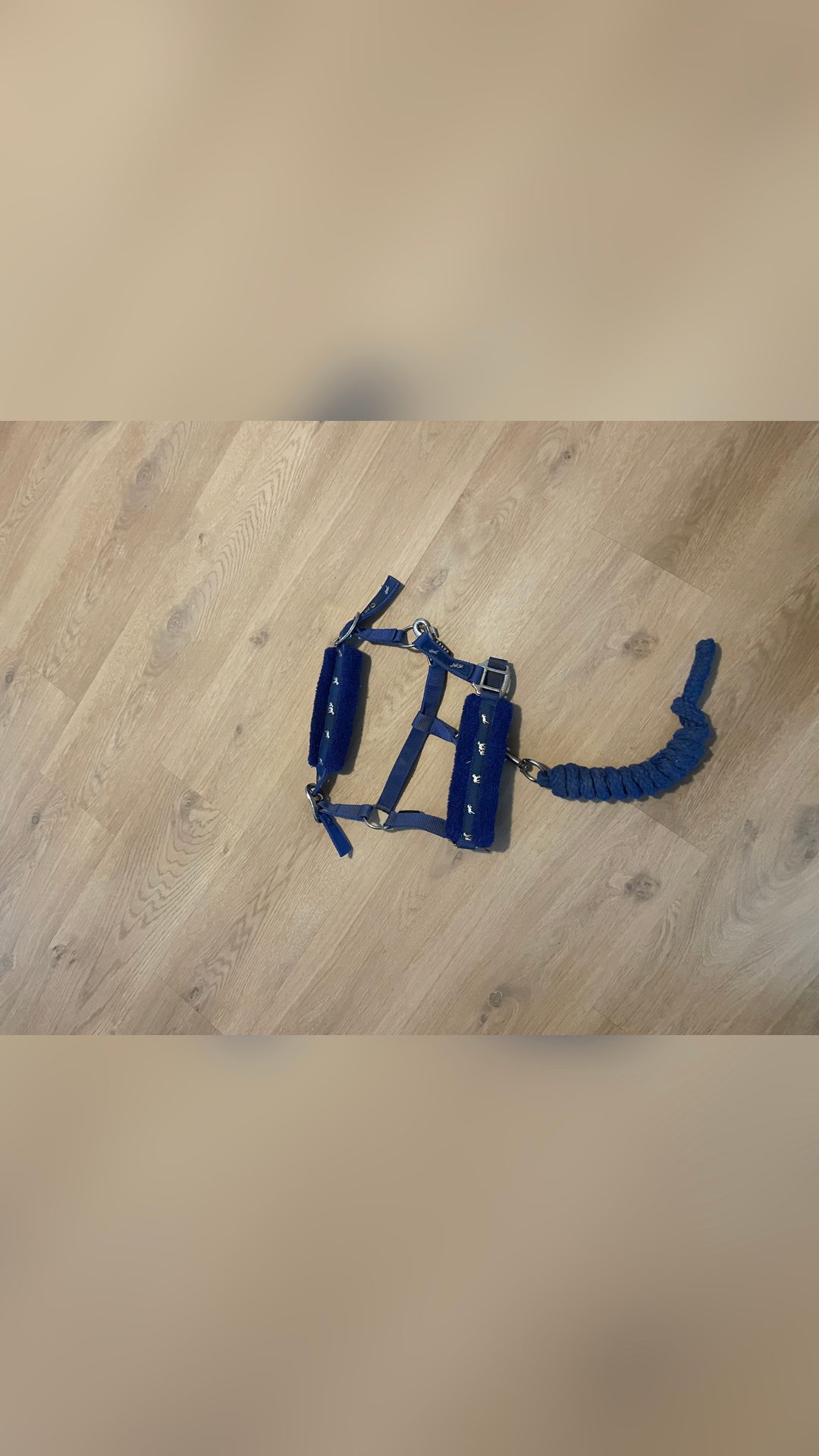 Licol en nylon et longe, média 3