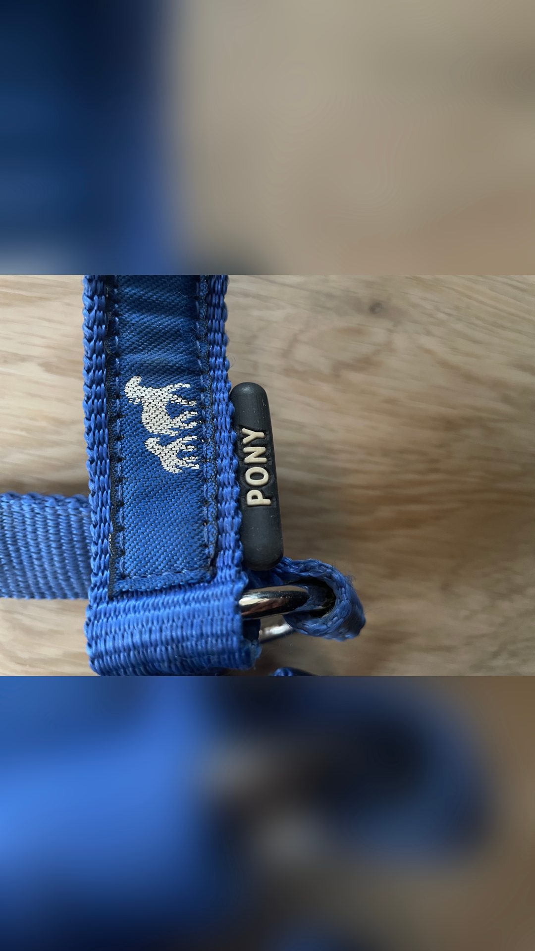 Licol en nylon et longe, média 4