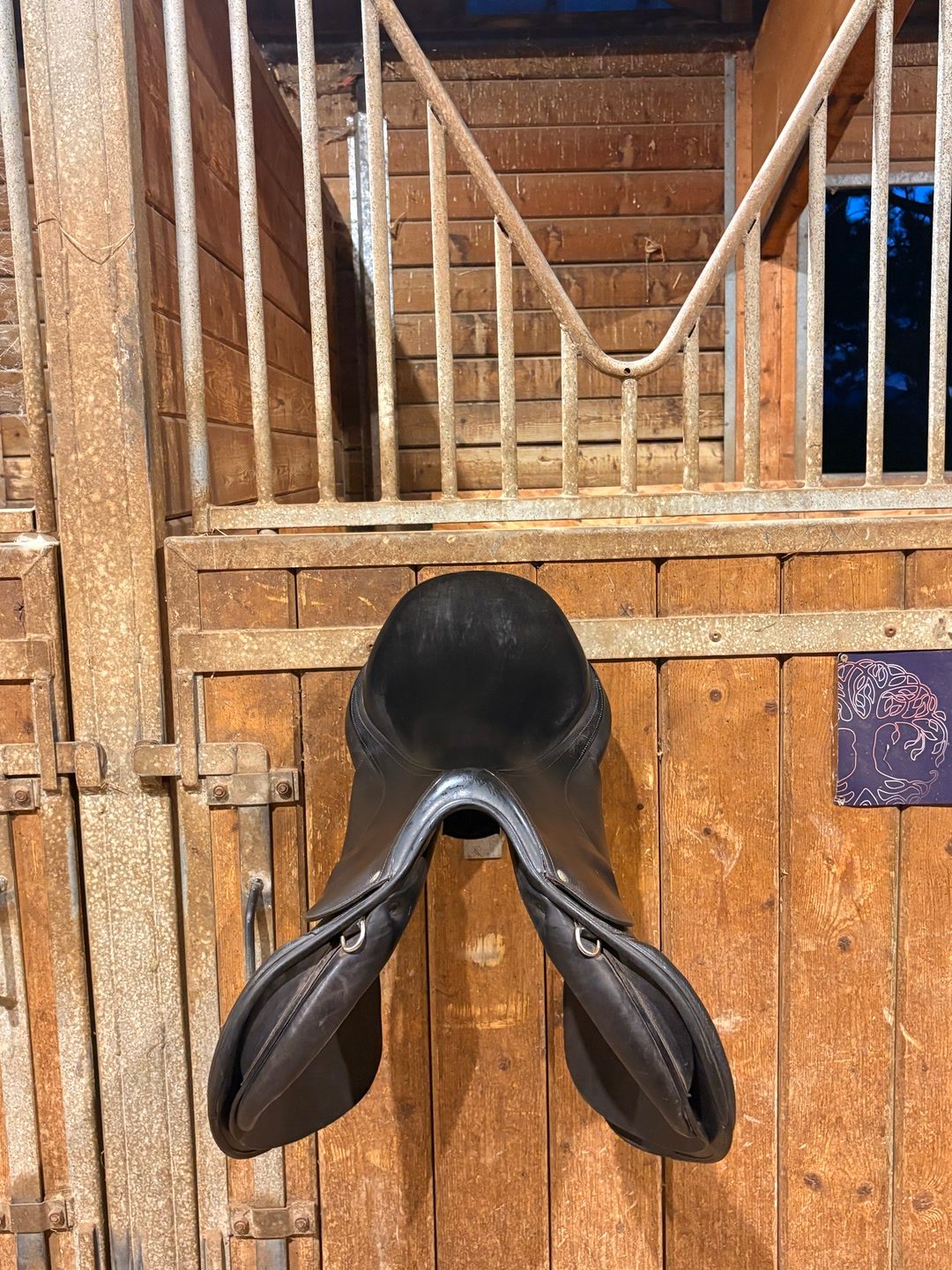 Selle Childeric, média 4