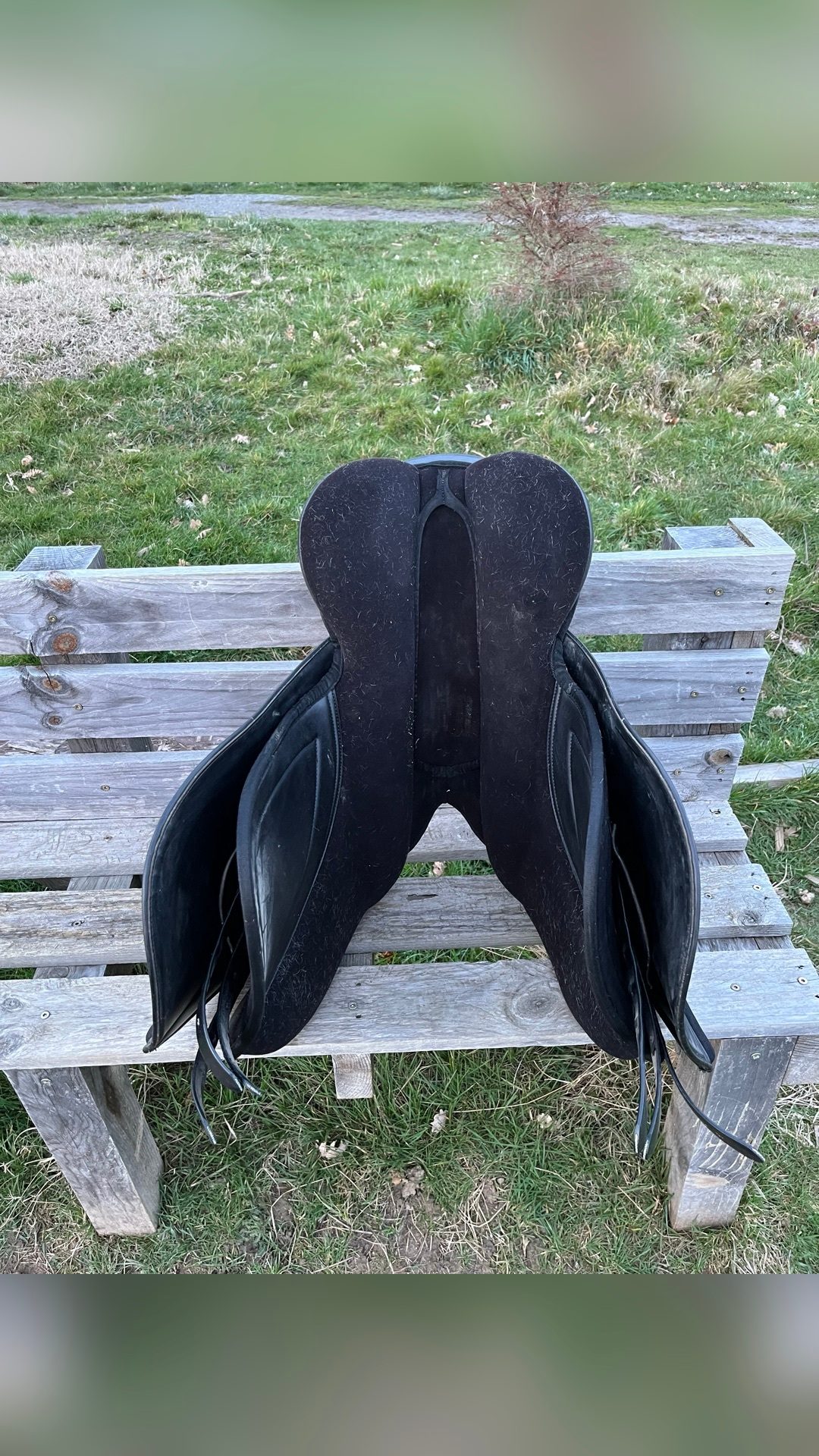 Selle arcade interchangeable, média 10
