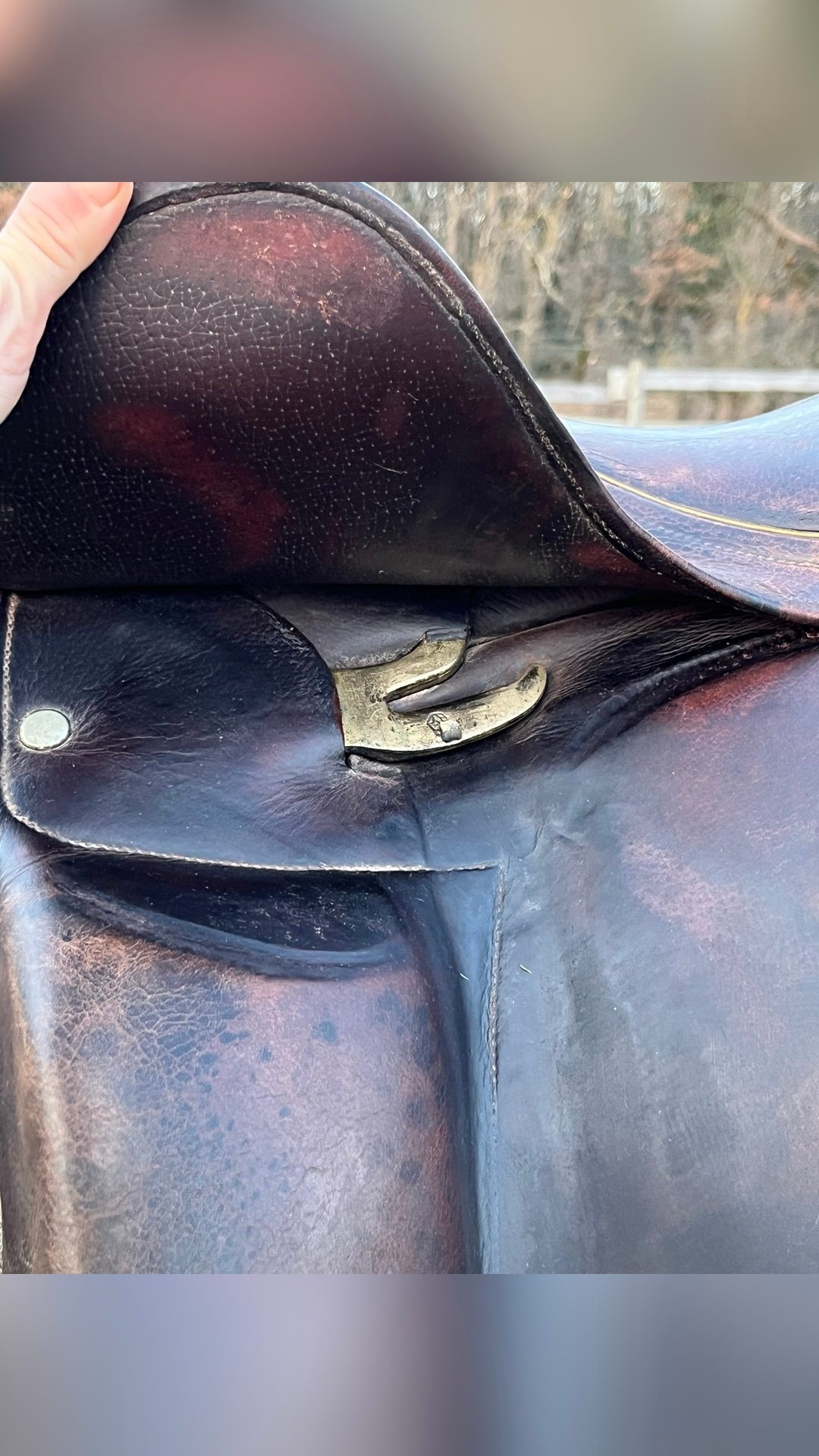 Selle de dressage Childeric, média 2