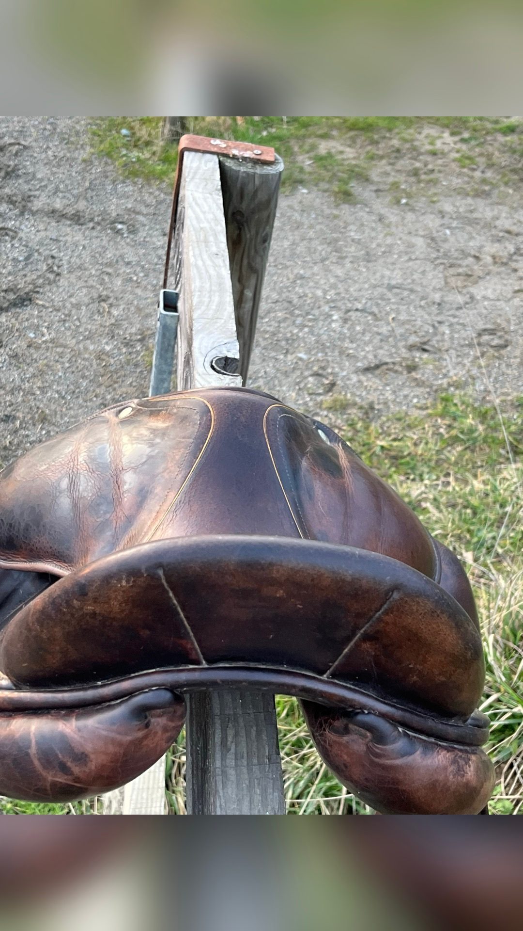 Selle de dressage Childeric, média 3