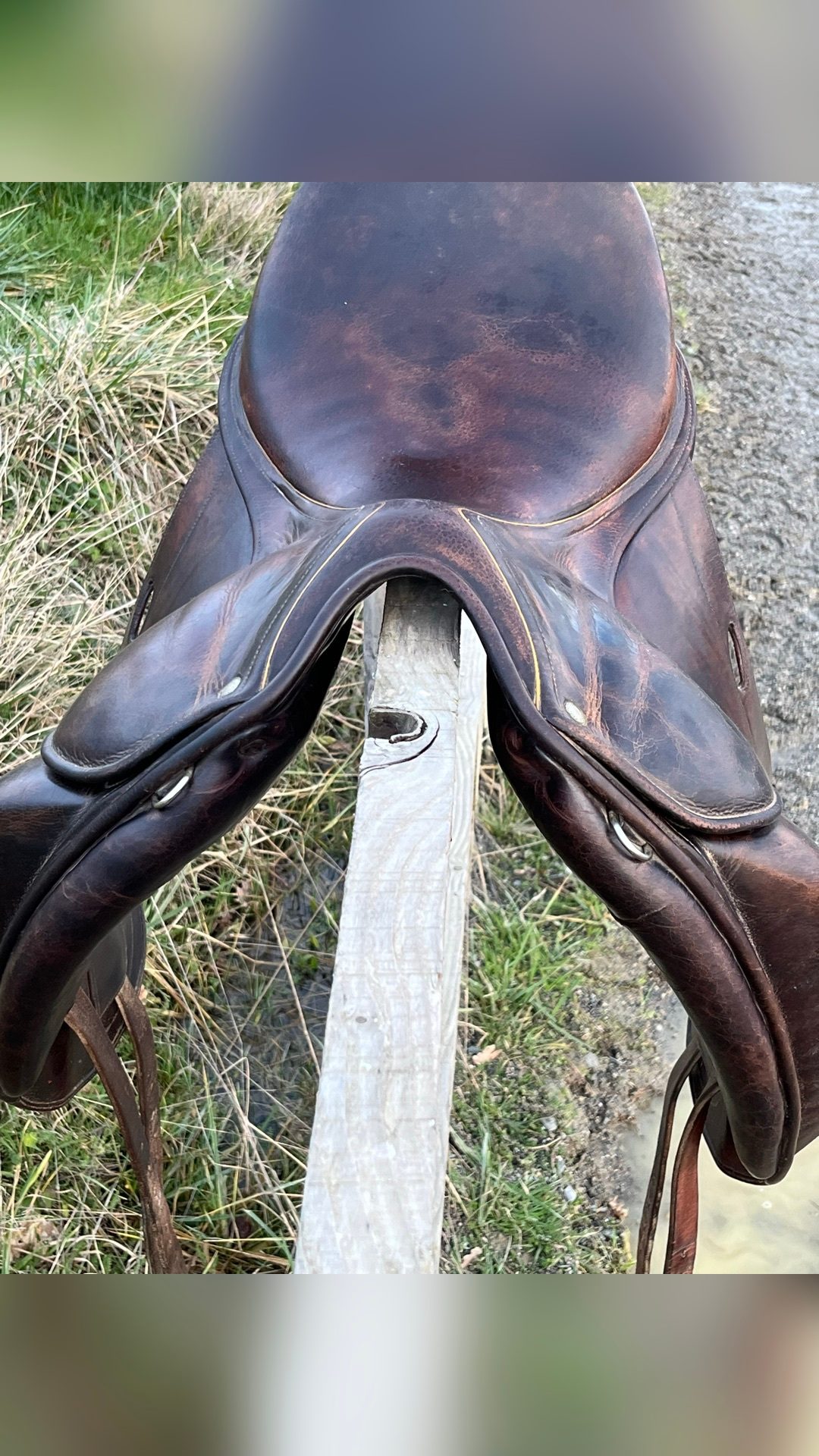 Selle de dressage Childeric, média 4