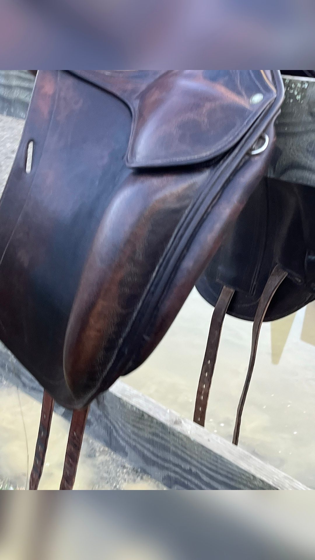 Selle de dressage Childeric, média 5