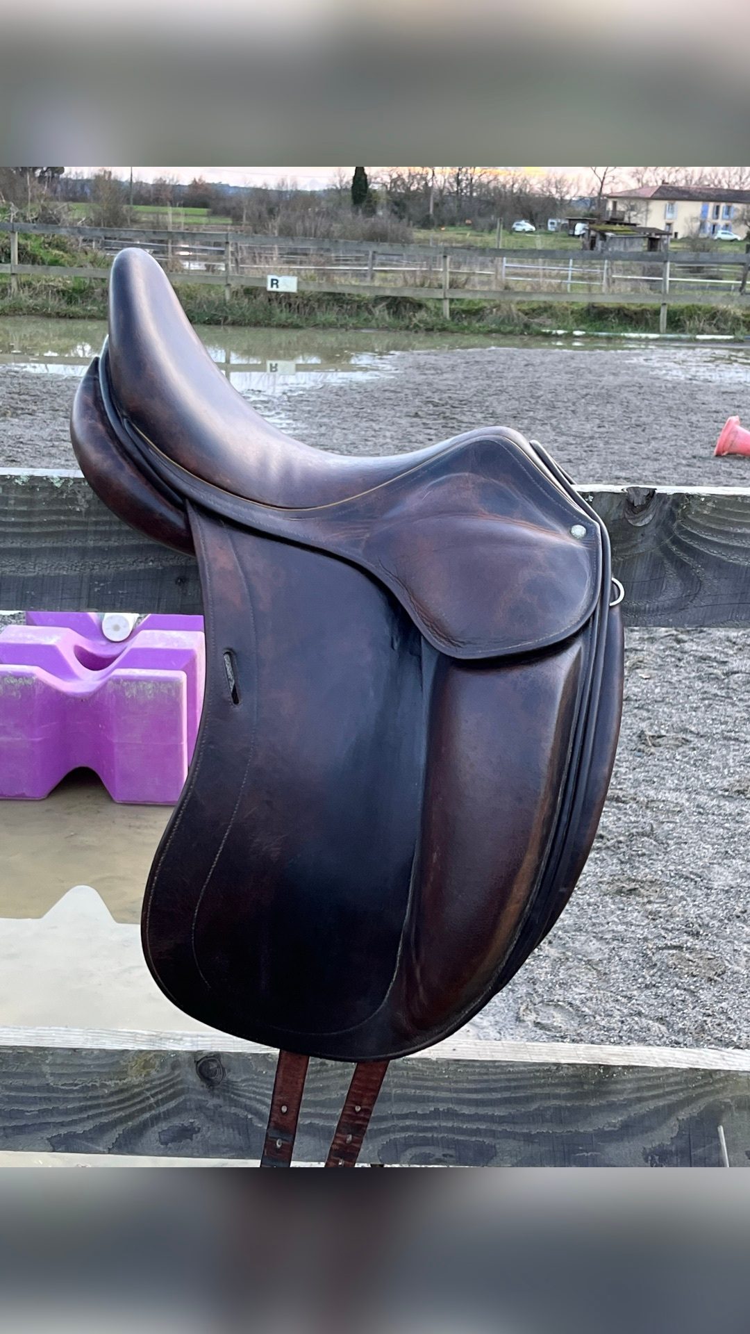 Selle de dressage Childeric, média 6