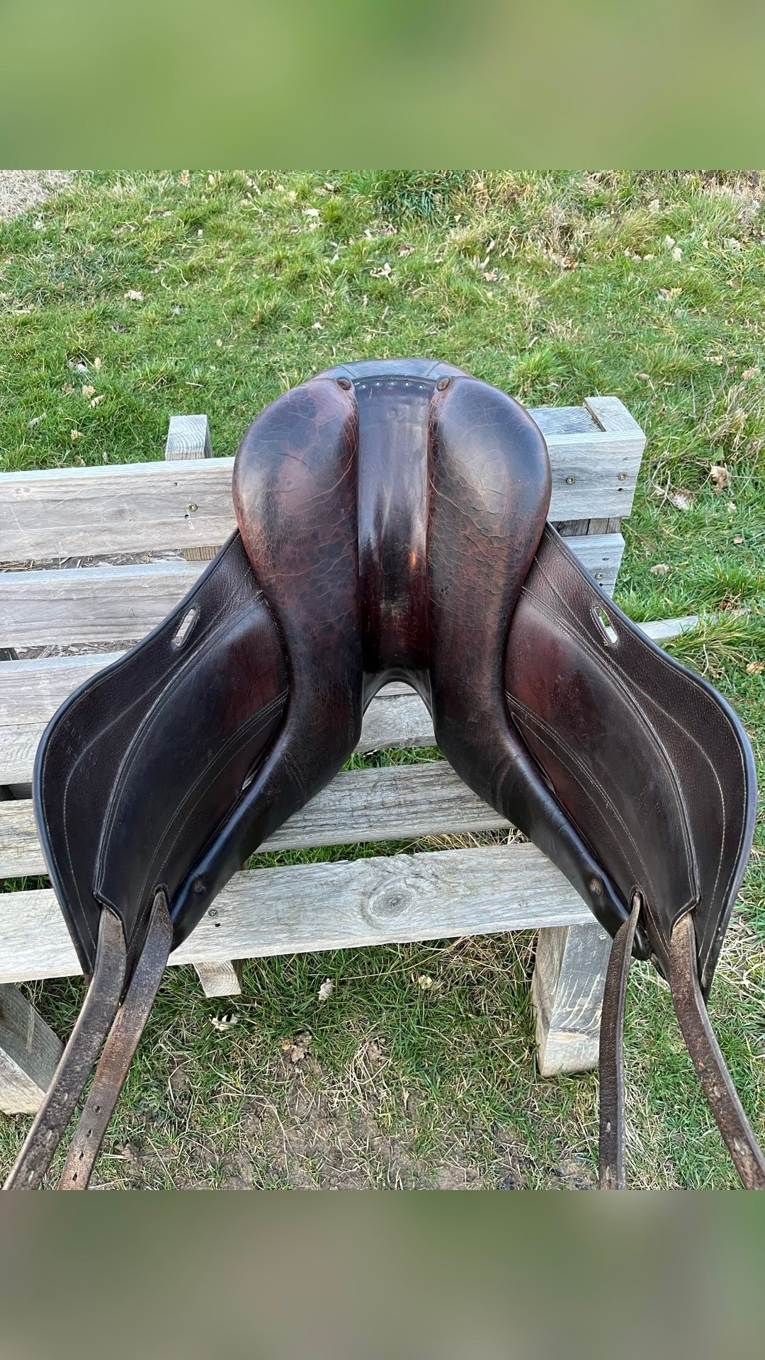 Selle de dressage Childeric, média 9