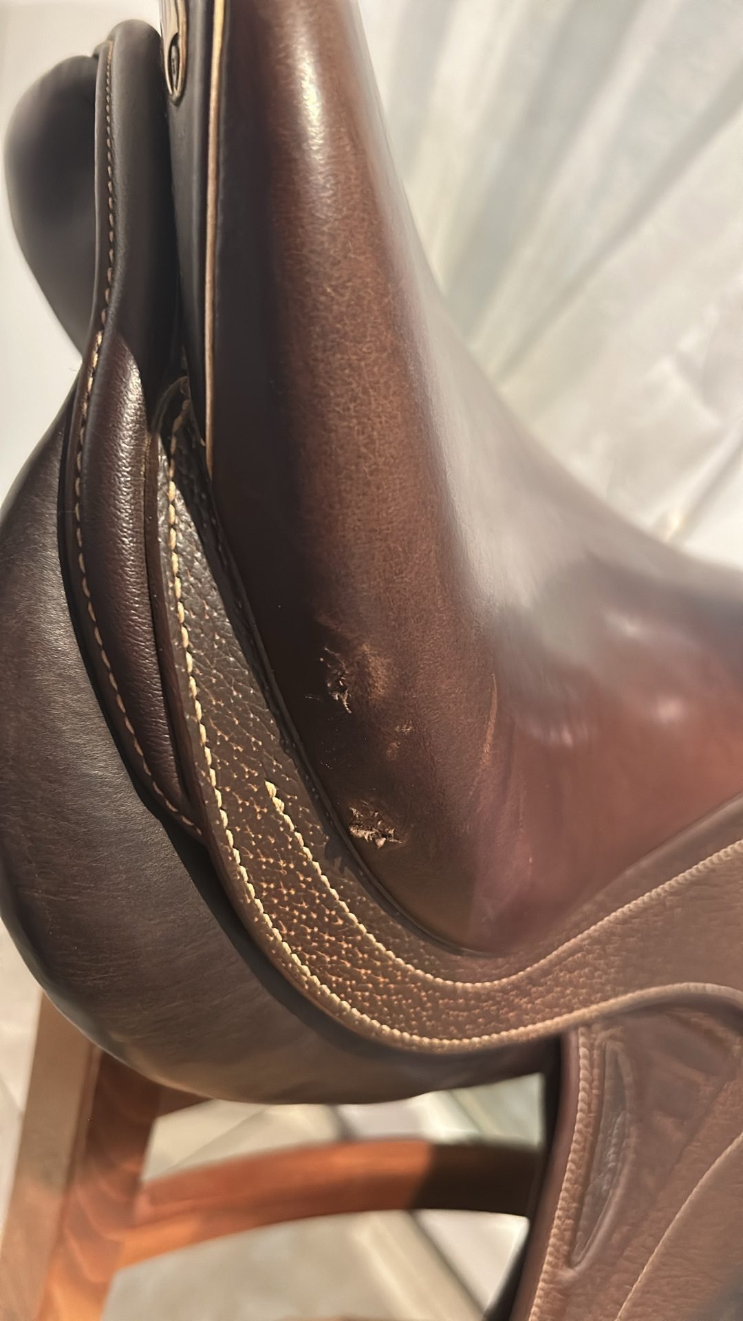 Selle Prestige, média 2