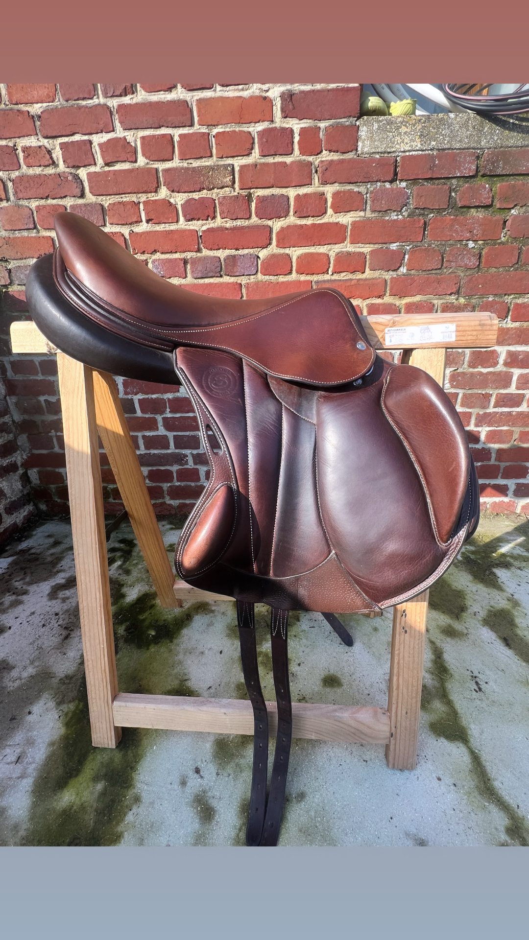 Selle Badbinton Forestier, média 2