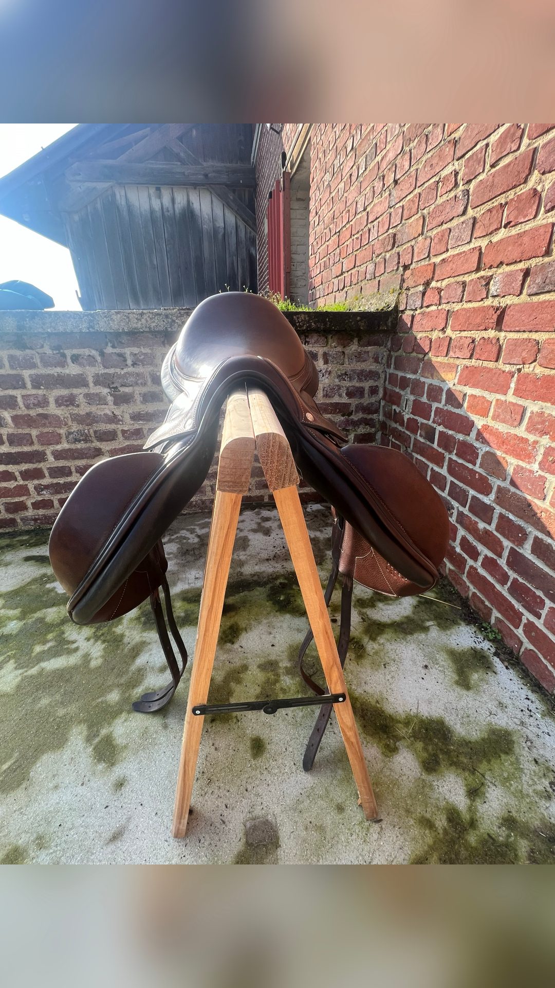 Selle Badbinton Forestier, média 4